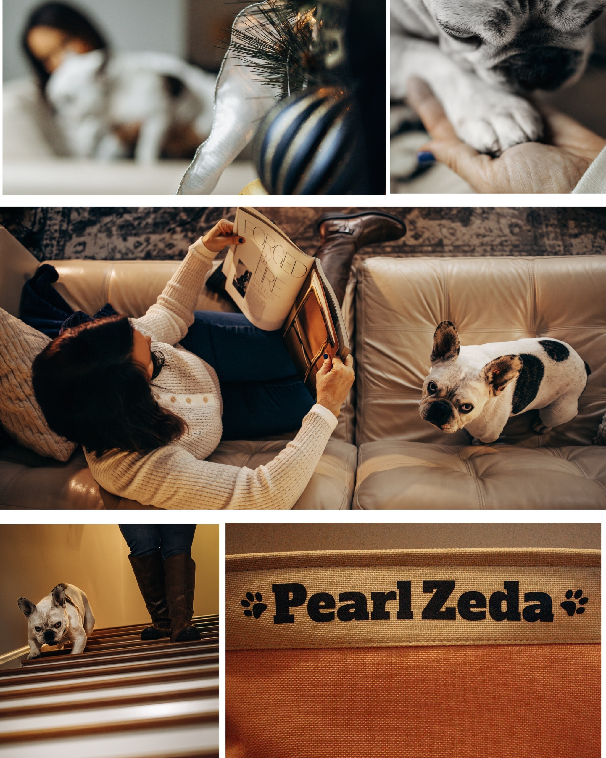 Pearl & Melanie. Pet Photographer Viktoriya Aleshenko