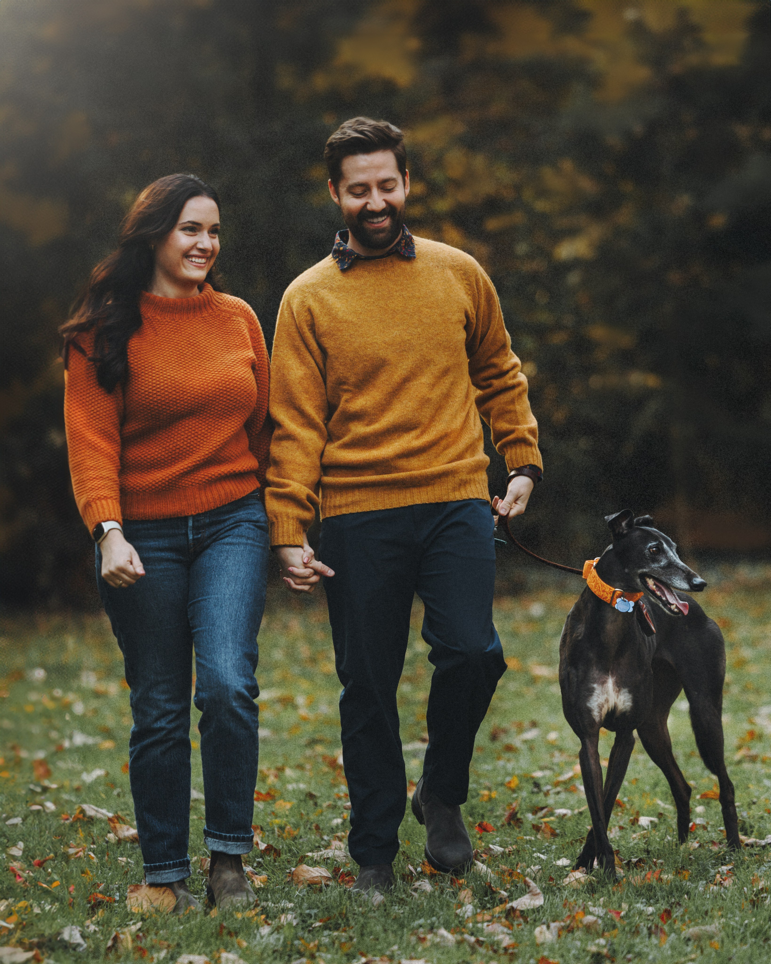 Tilly, Kati & Landon. Pet Photographer Viktoriya Aleshenko