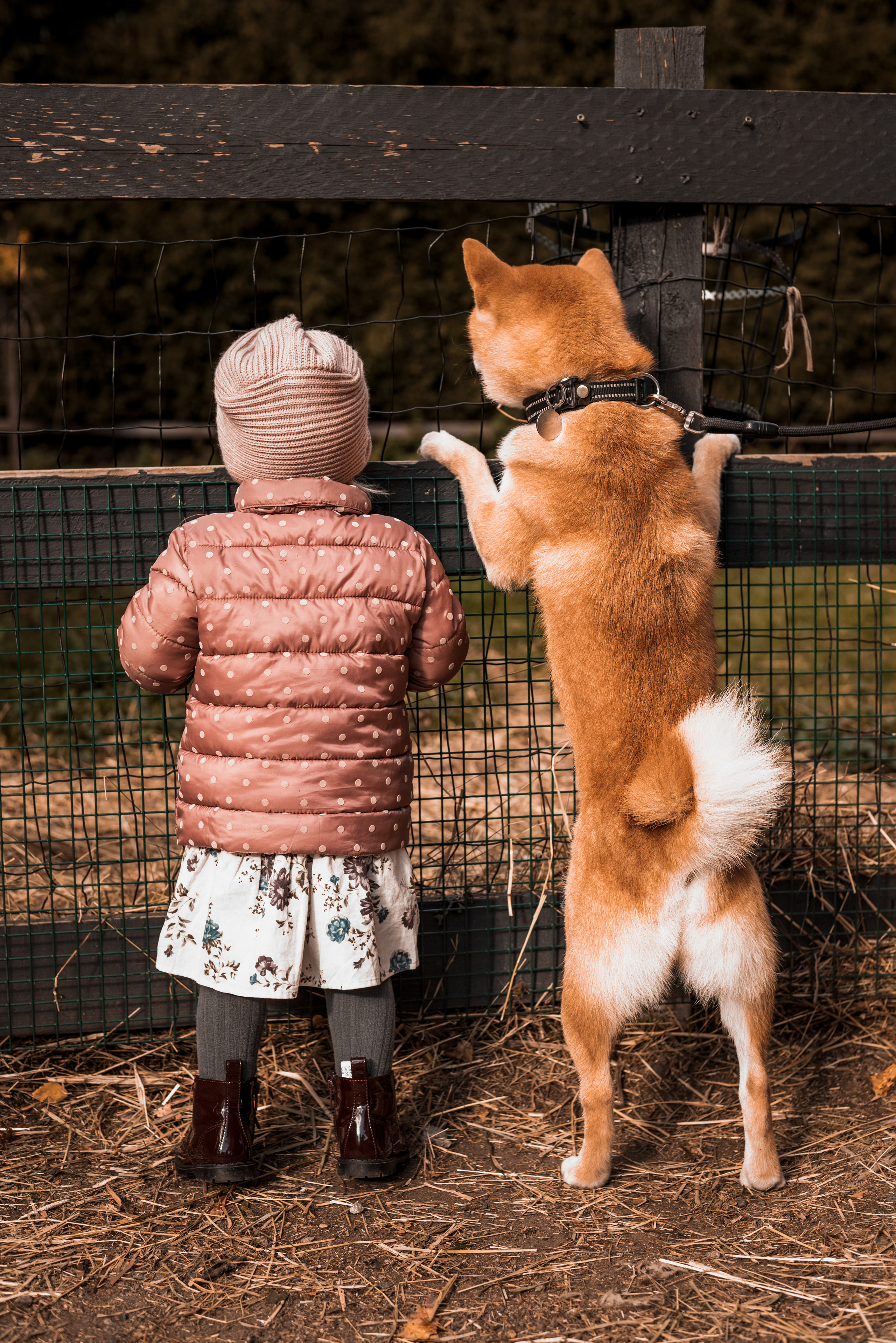 Family photography. Aigul Photography — wedding, newborn, and family photographer