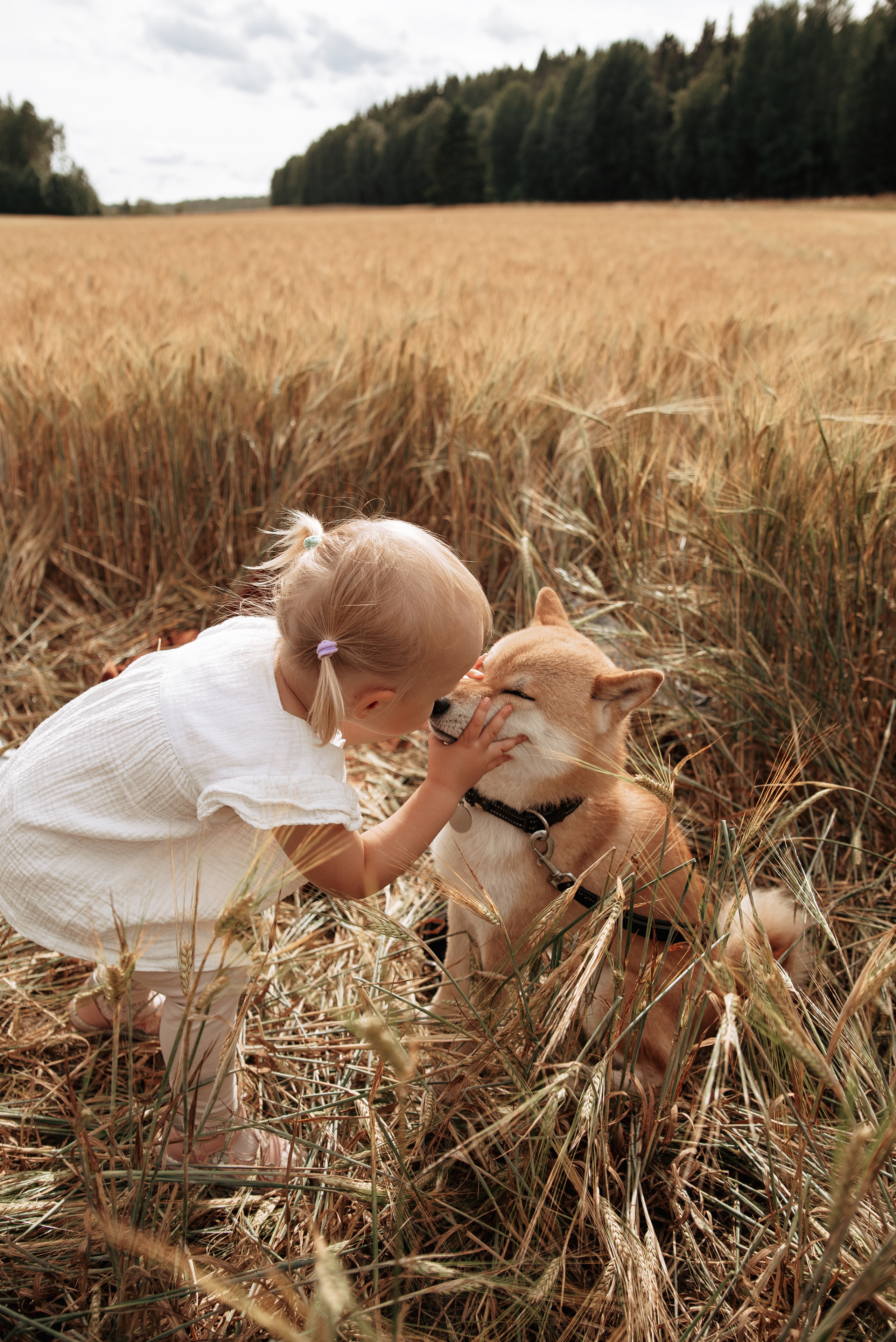Family photography. Aigul Photography — wedding, newborn, and family photographer