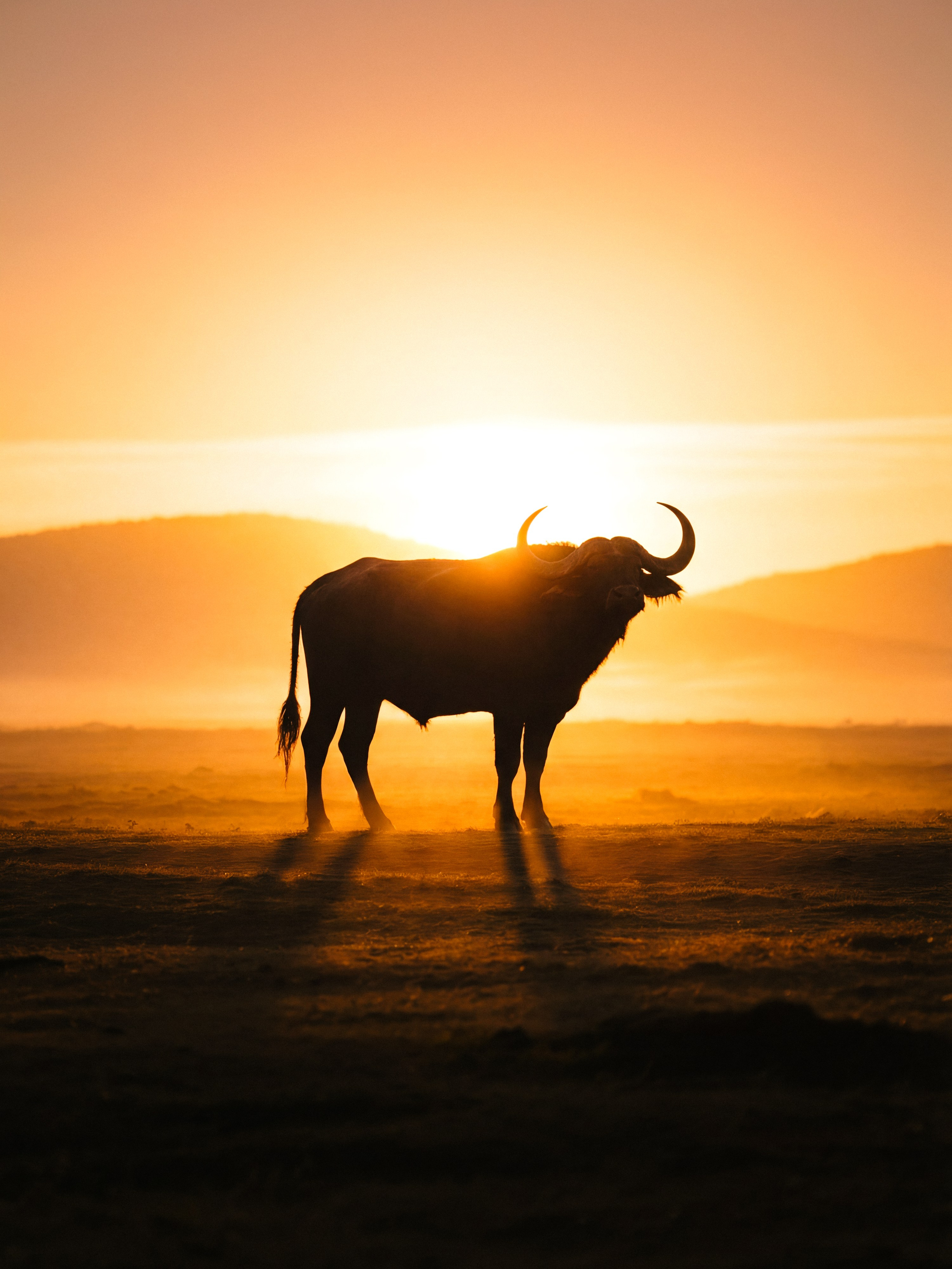 Photos of places around the World