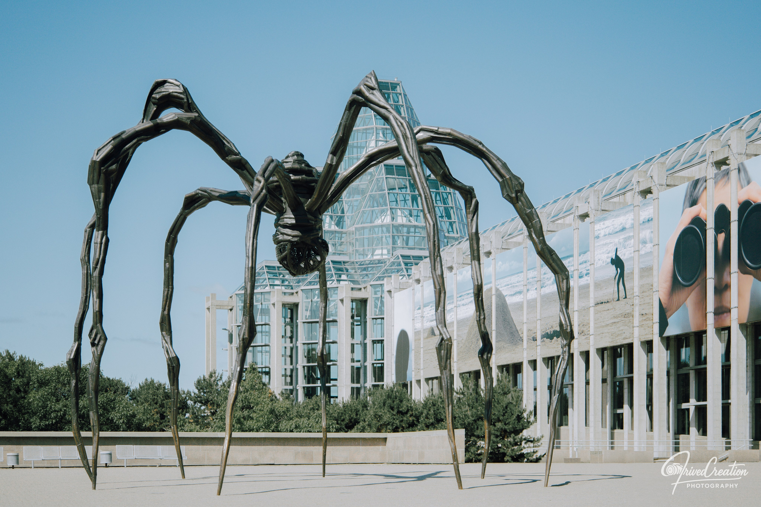 Landscape & Nature. Prived Creation