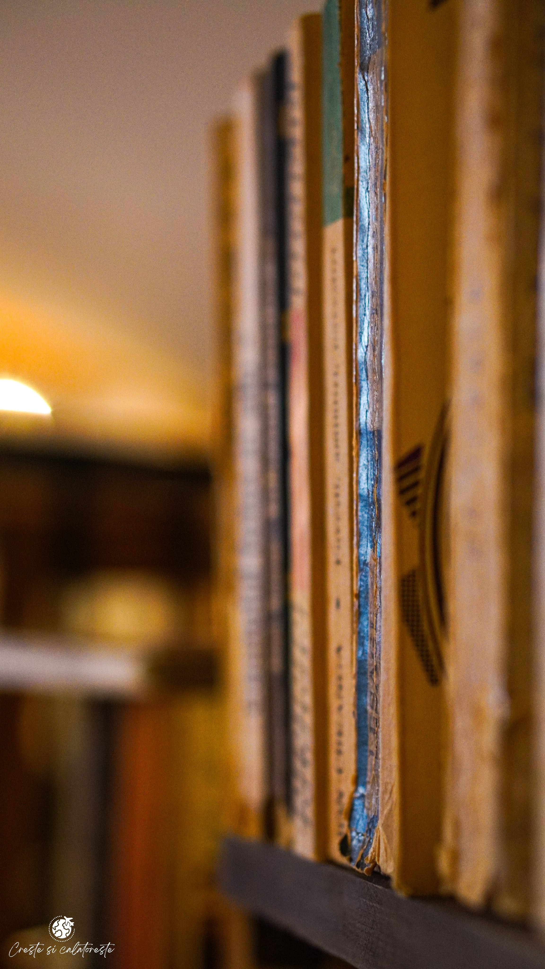 Bransilvania. Creste si calatoreste