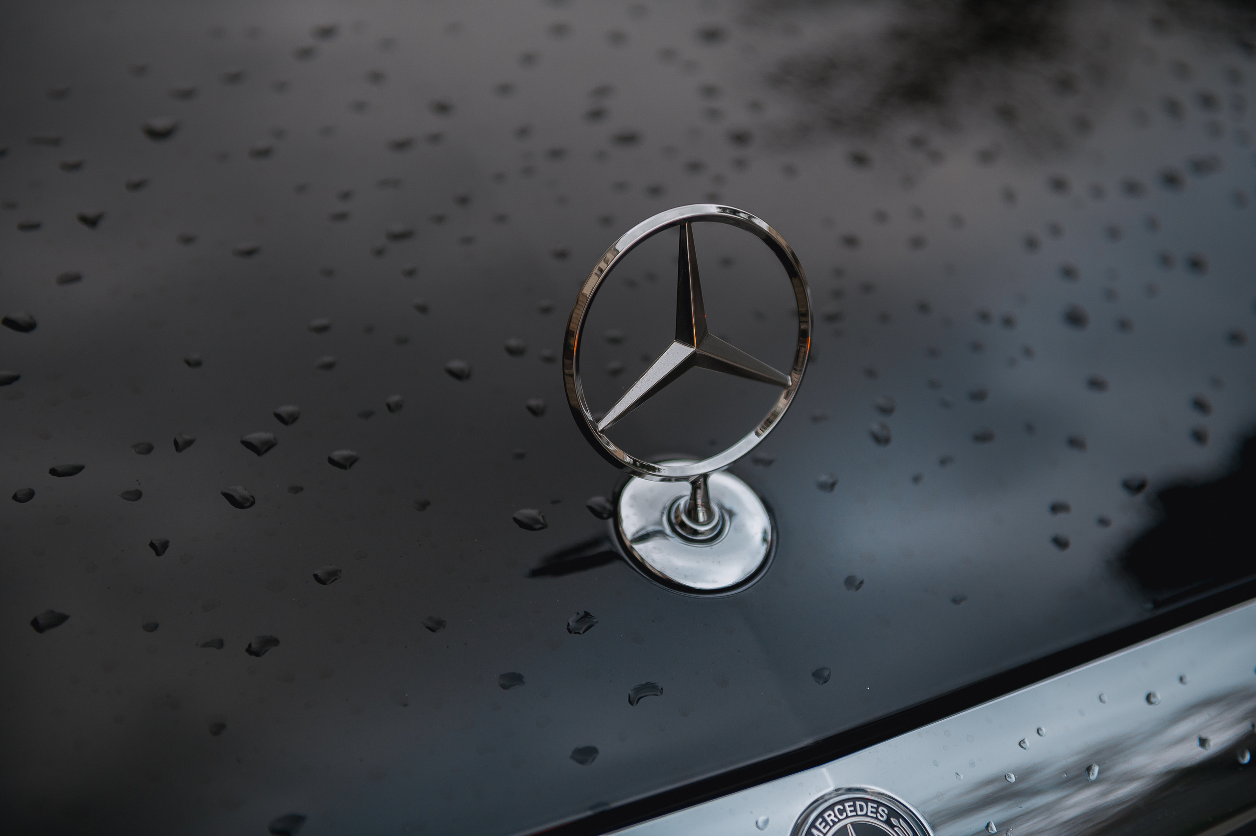 Диана и Павел. Свадебный и семейный фотограф Екатерина Шестакова