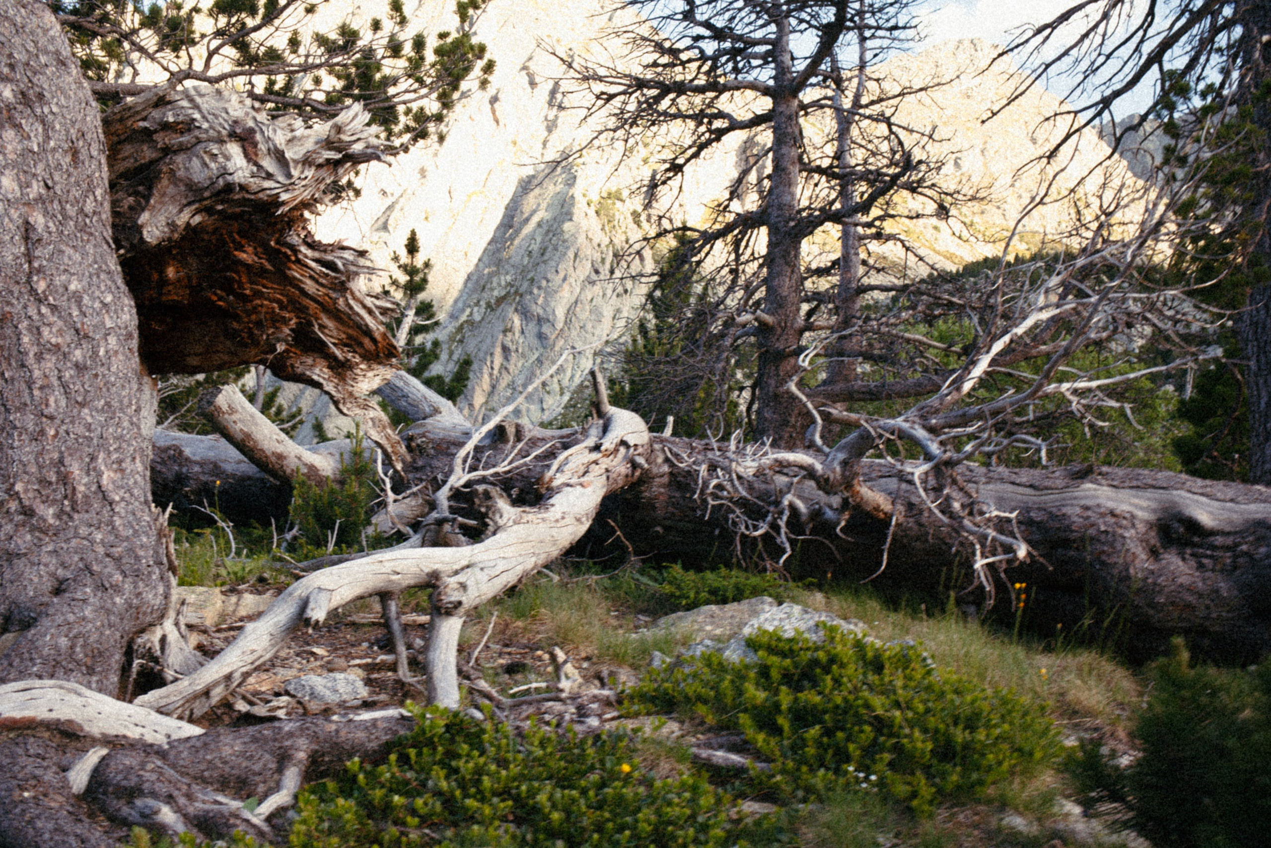 Fotografía del Refugio JM Blanc – Valle de Peguera, Pirineos. Marina Kálcheva – Photographer & Visual Artist in Barcelona