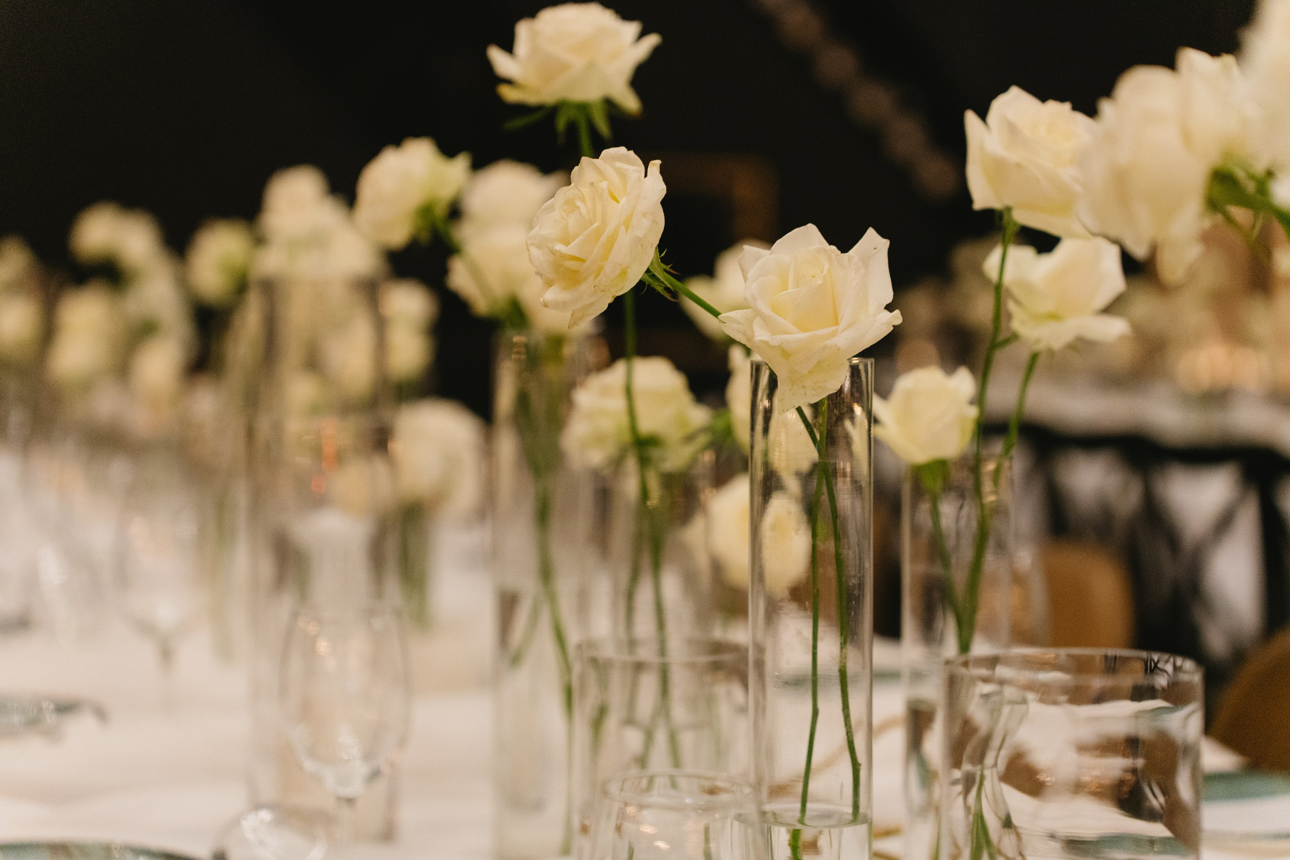 Interior & Venue. Portrait & Event Photography | Israel | David Shafirov