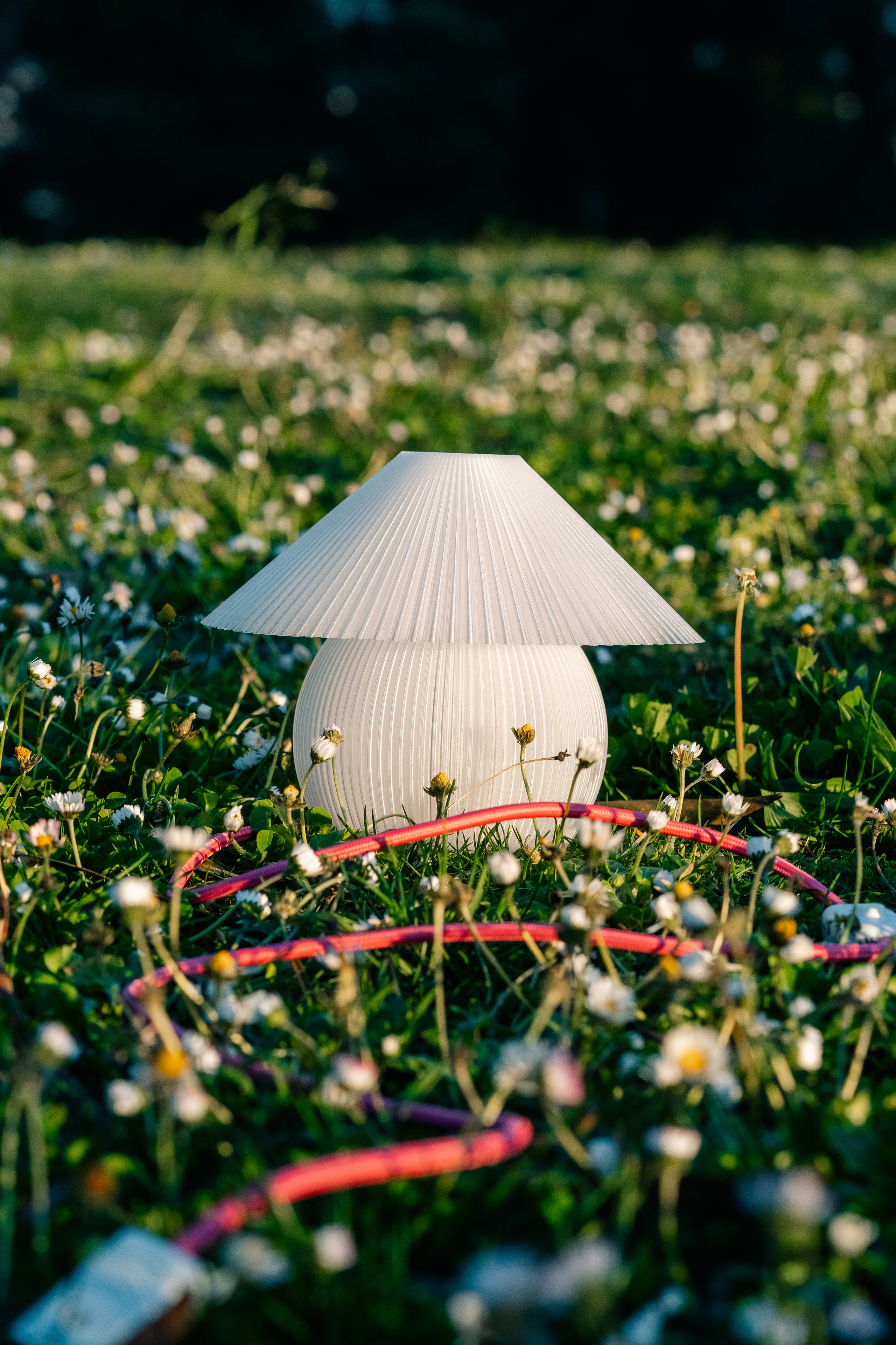 Lumu. Maria Sher. Fotógrafa profissional do Porto, Portugal