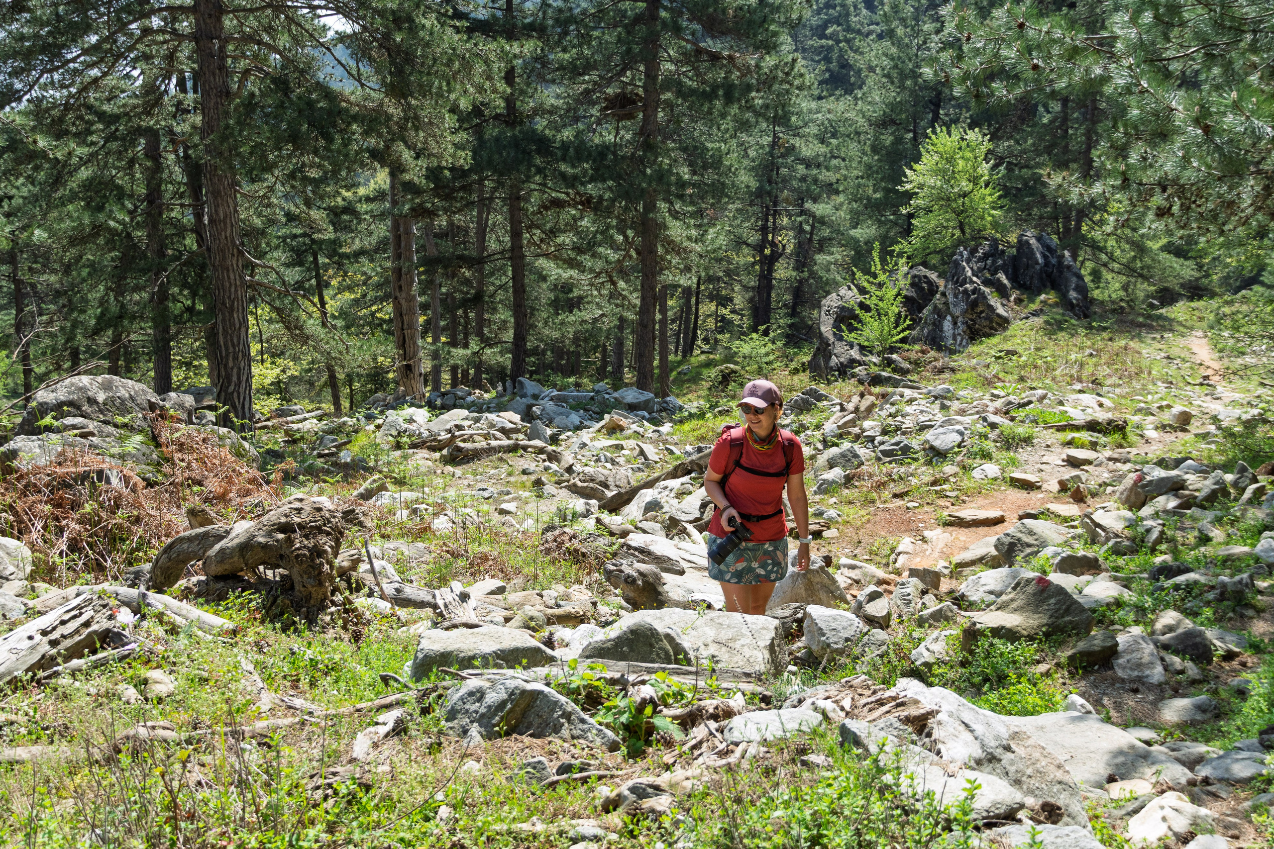 Thasos 2025. Fotografiideplacere.net