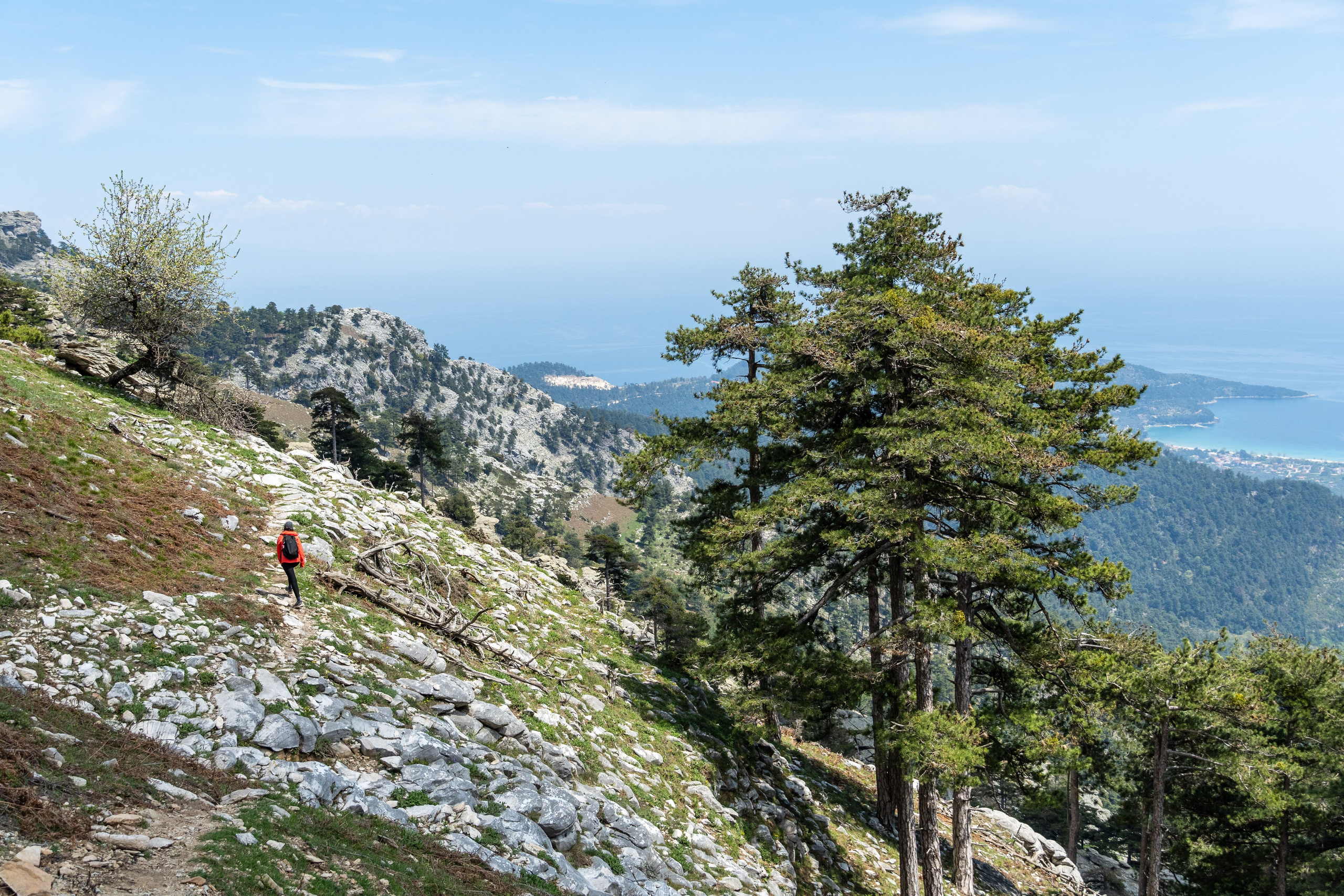 Thasos 2025. Fotografiideplacere.net