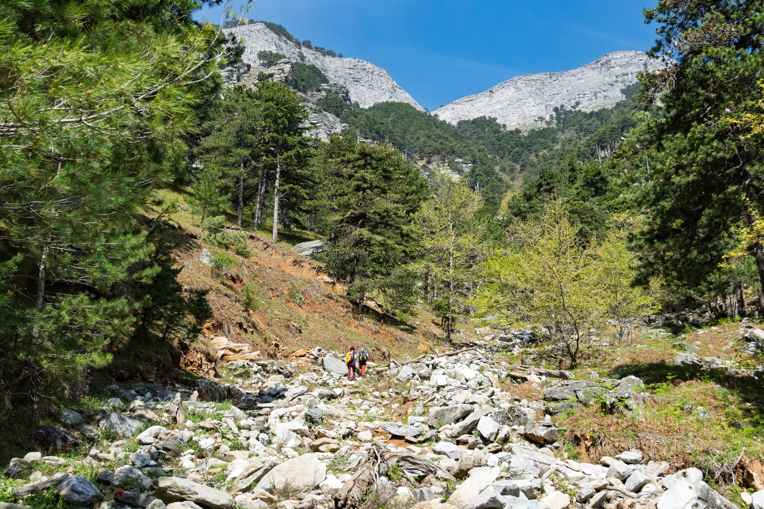 Thasos 2025. Fotografiideplacere.net