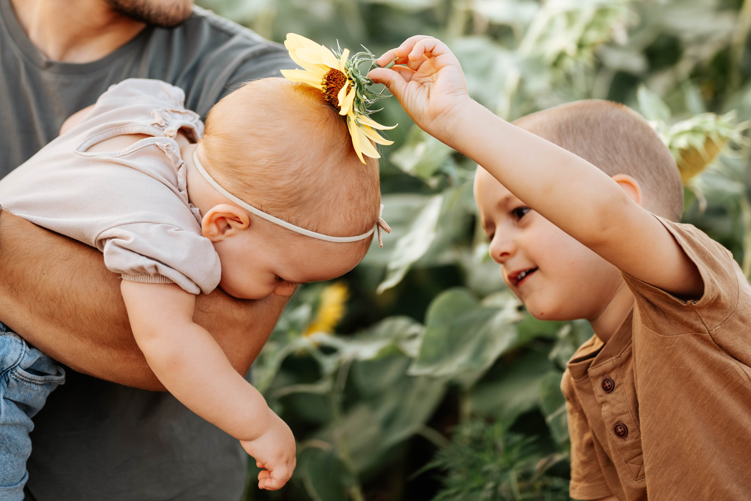 Dunja - rođendansko fotografisanje. Dečiji i porodični fotograf