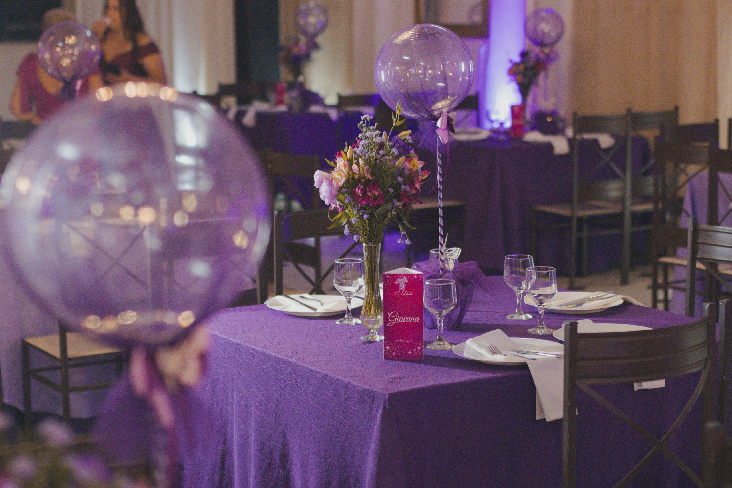 15 ANOS DE GIOVANA. Fotógrafos de casamento. empresas, família em Catanduva SP e região, Casal Gonçales