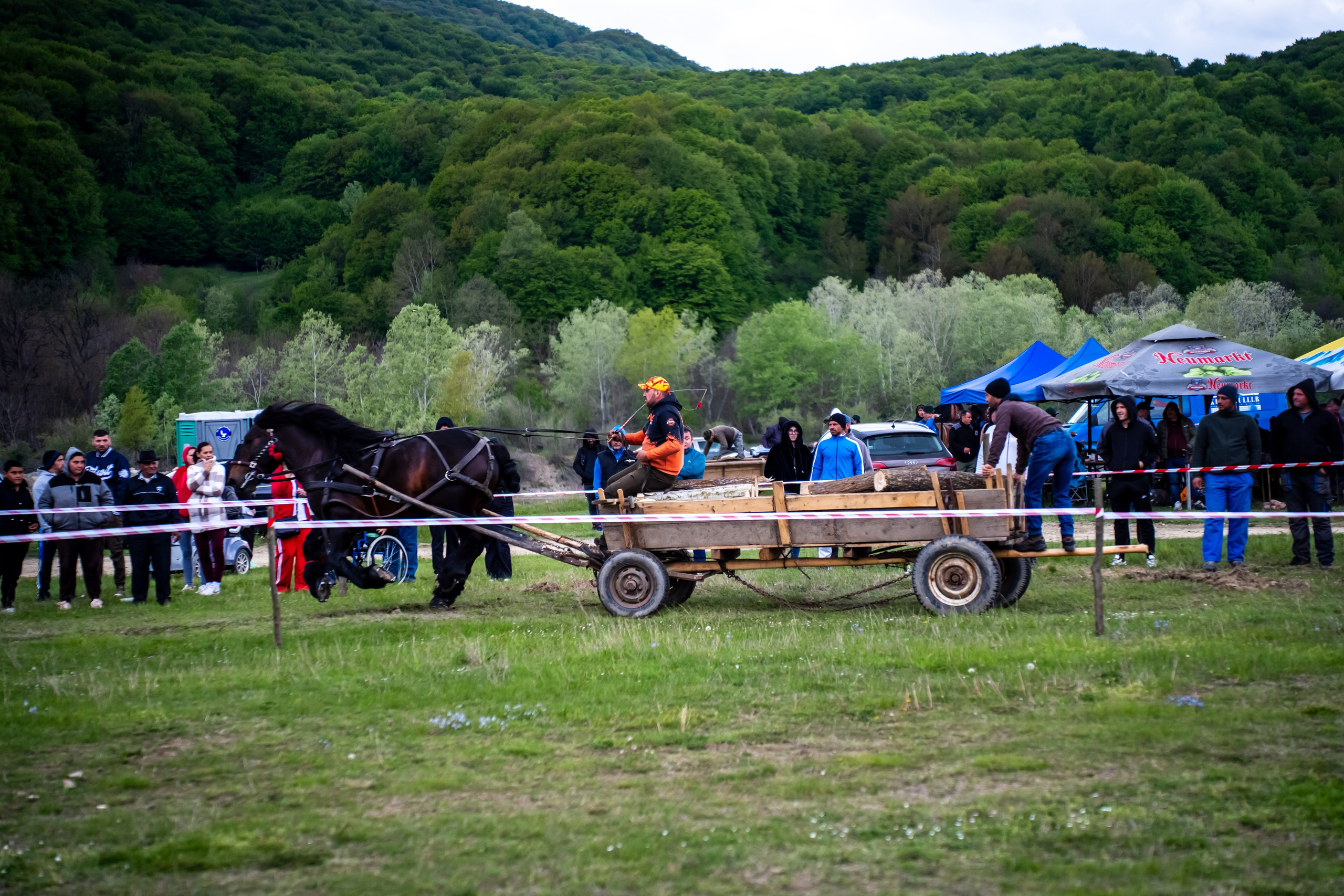 Concurs Ecvestru Vărbilău ediția a 4-a. Mihai Alexandra Events