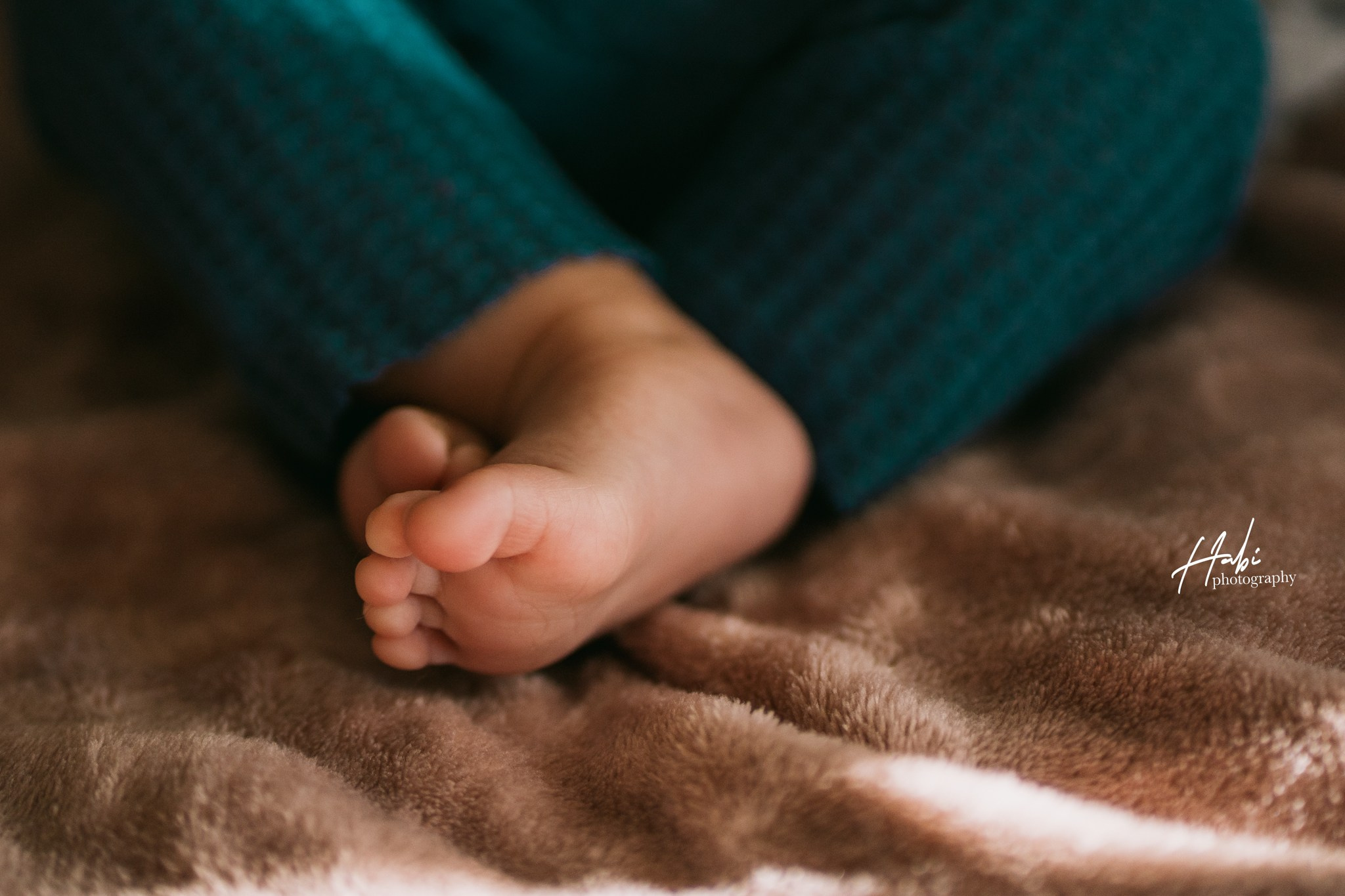 Lava. HABIPHOTO MELBOUNE