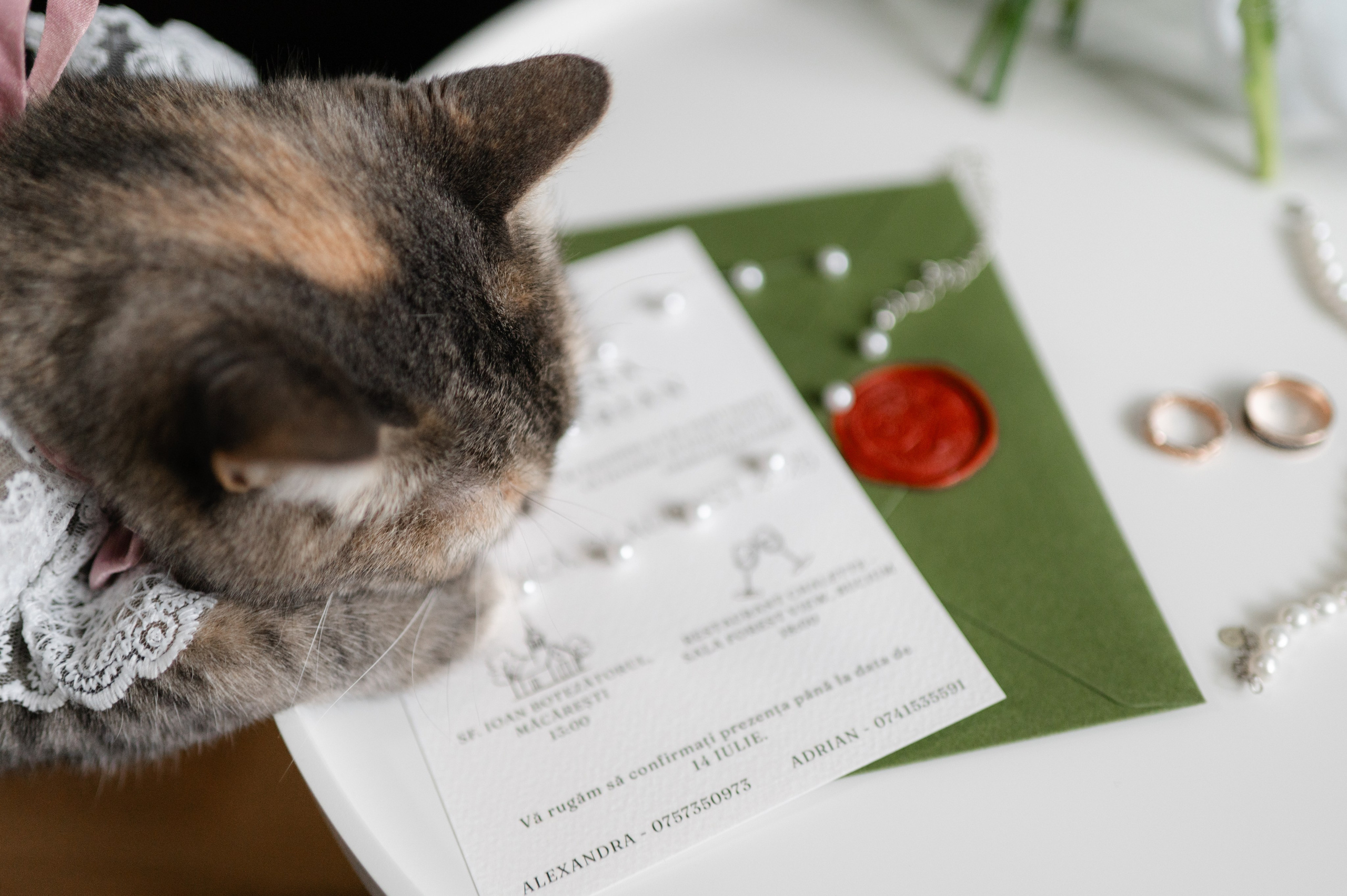 Alexandra + Adrian | Wedding. Alexandra Hanu Photographer