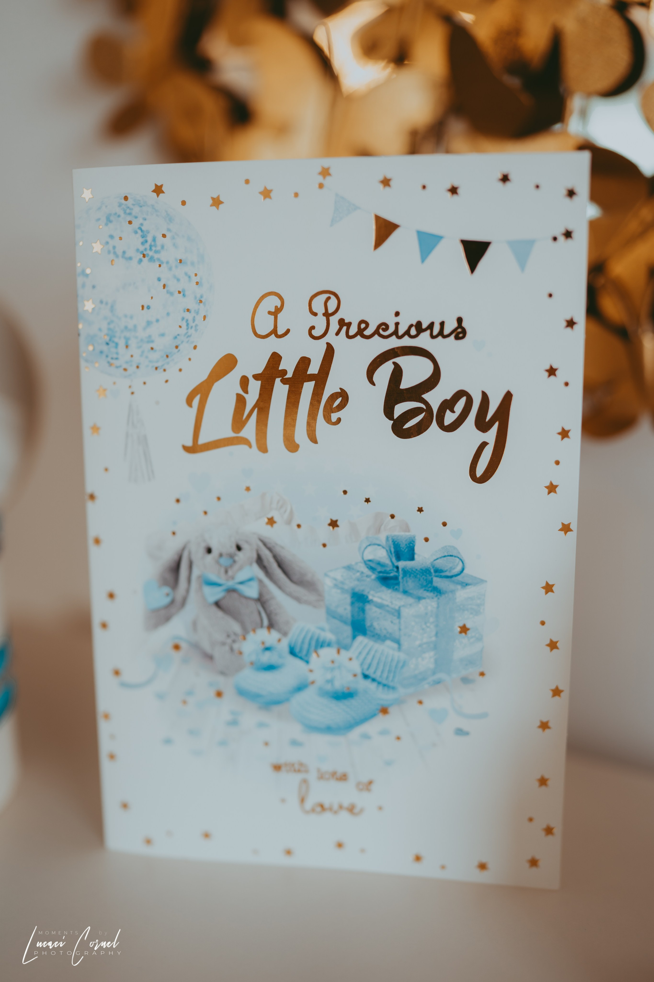 Familie – Amintiri de neuitat. Fotograf de nuntă, corporate, botezuri, majorate și aniversări Roman, Lucaci Cornel