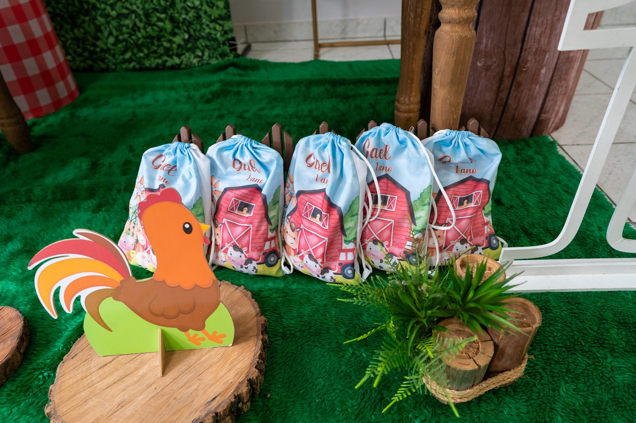 Gael 1 ano — 21/12/2024. Luiz Medeiros Produções