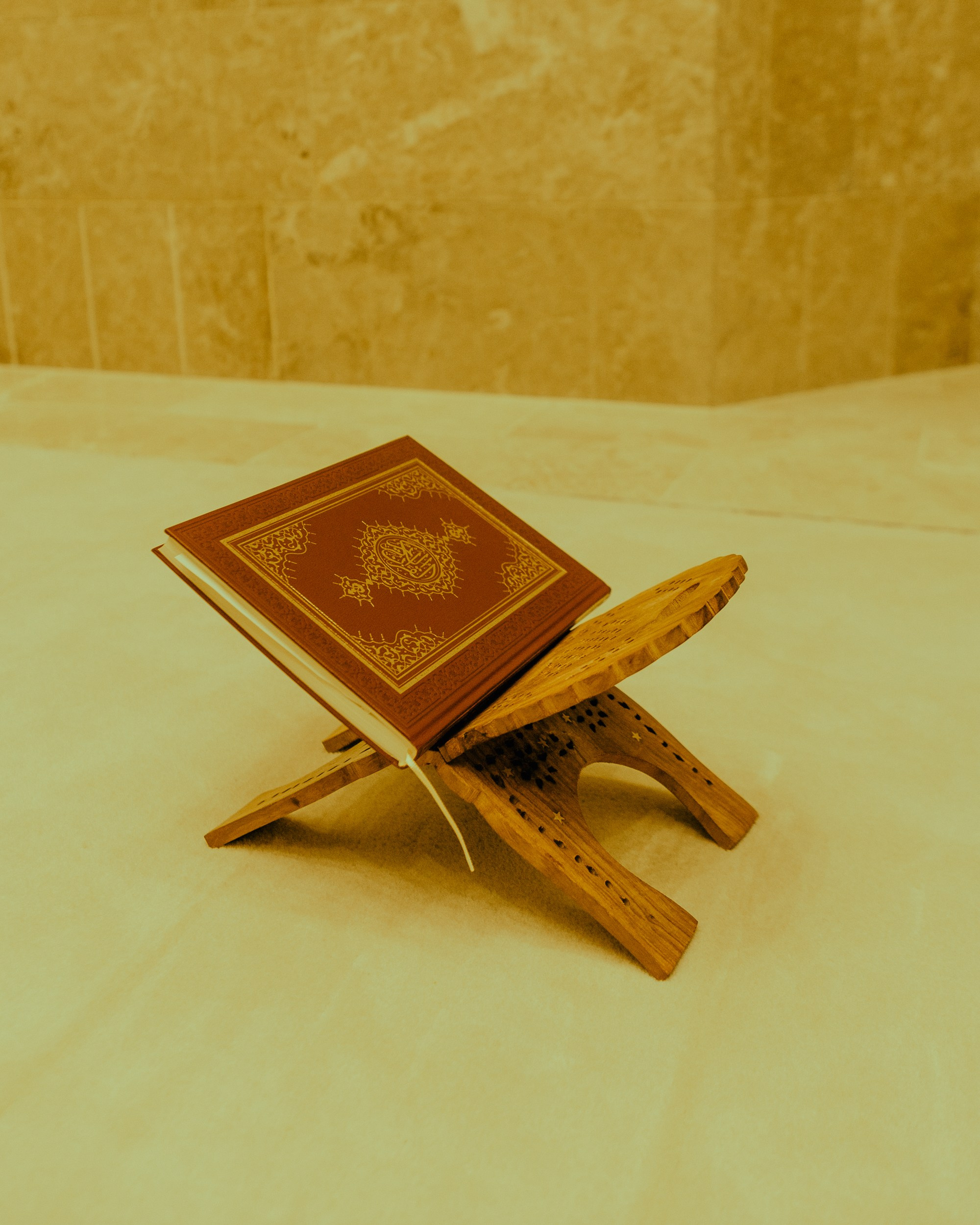 Marchitecture 2024 / Design Doha. Regina Turbin — official website