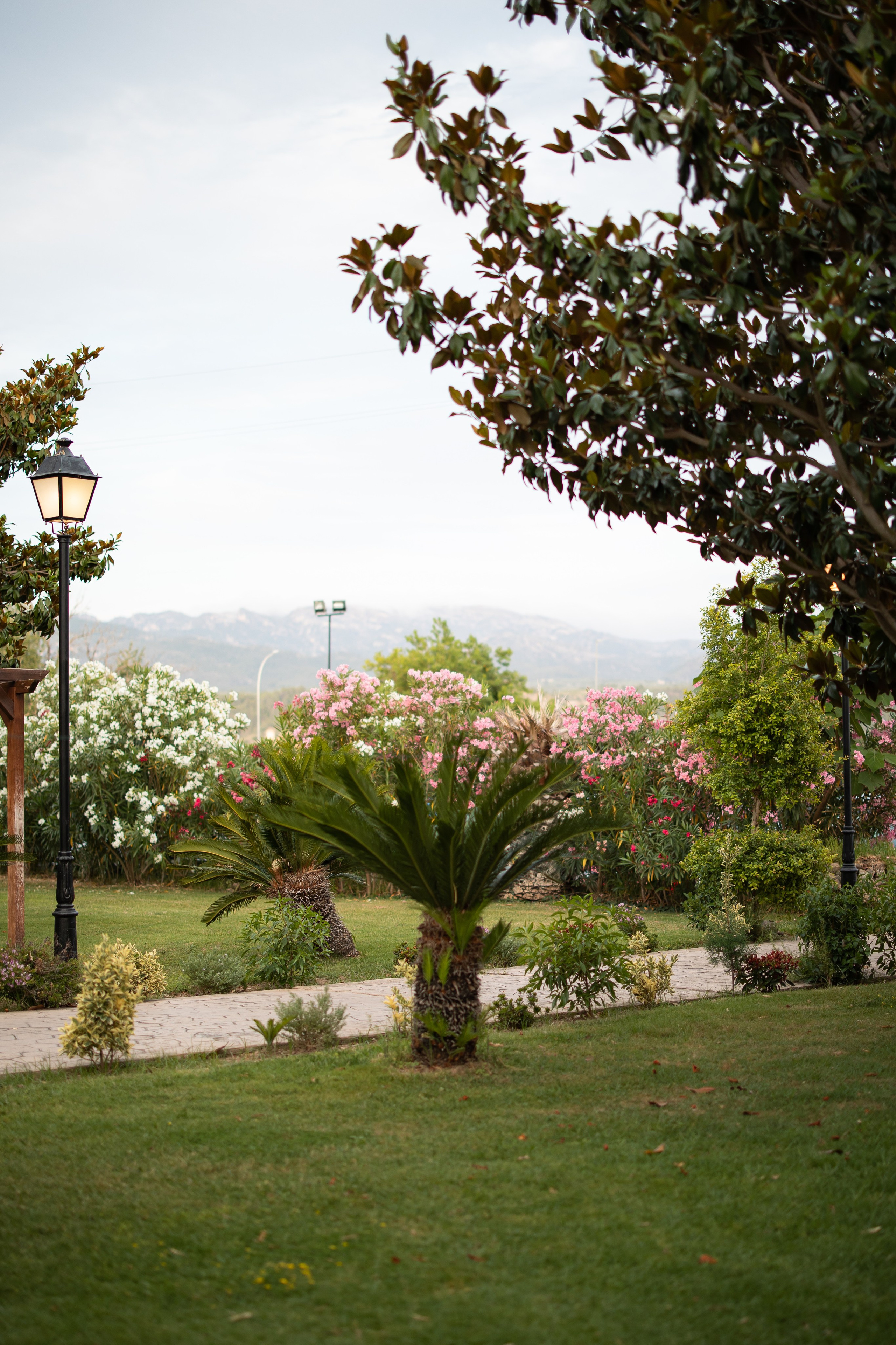 Wedding | Nerea & Christian. Wedding photographer Marius Foca