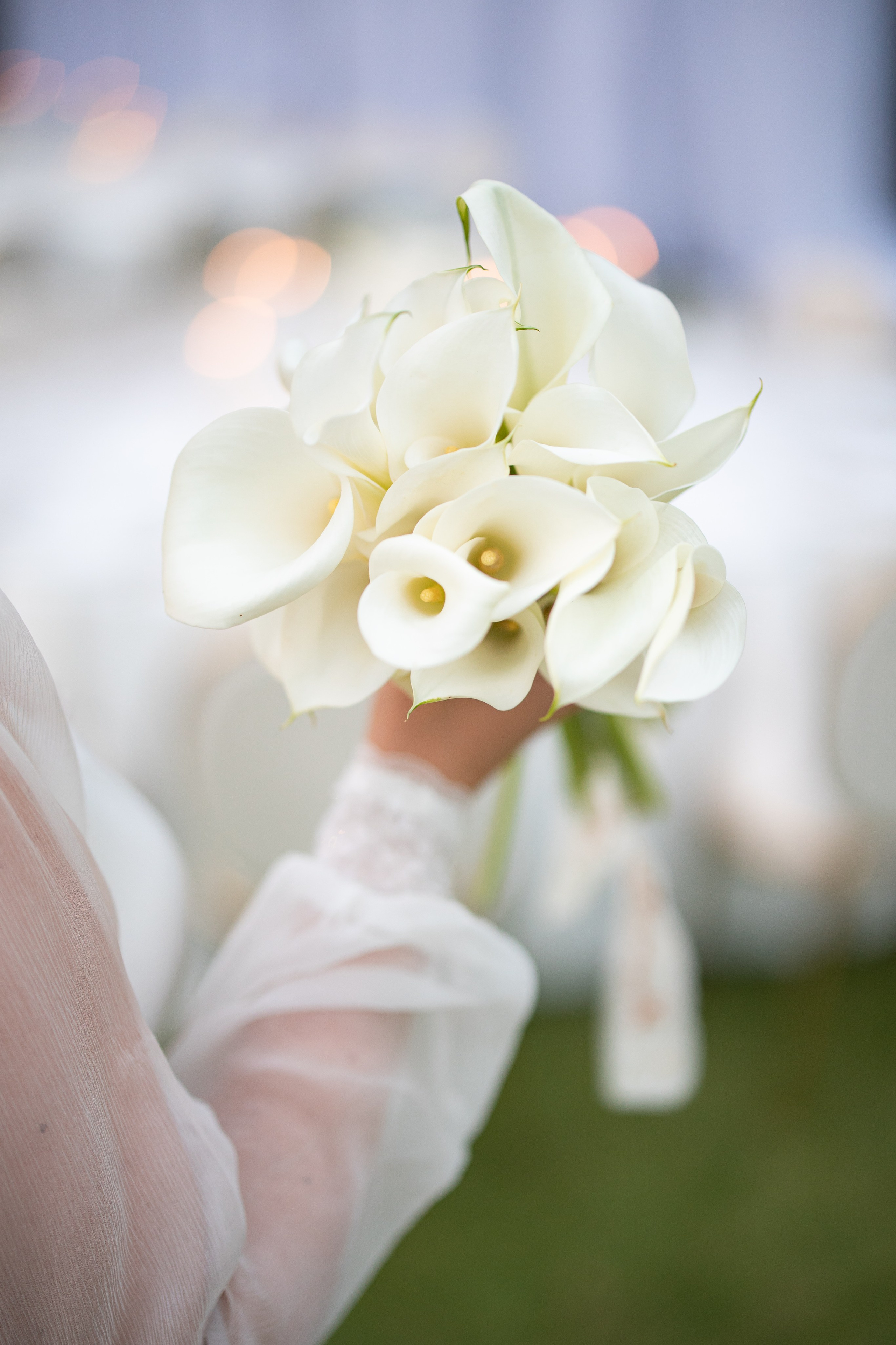 Wedding | Nerea & Christian. Wedding photographer Marius Foca