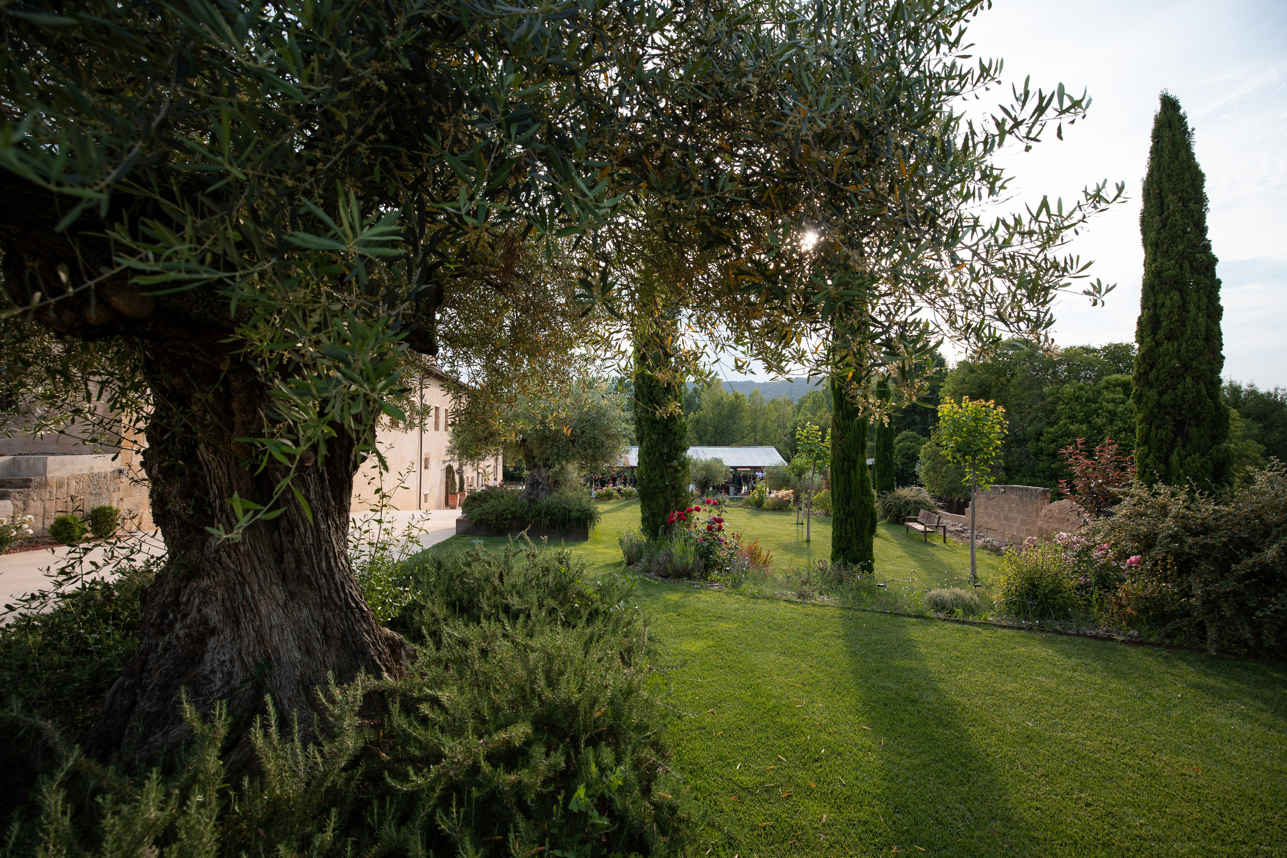 Wedding | Paula & Alex. Wedding photographer Marius Foca