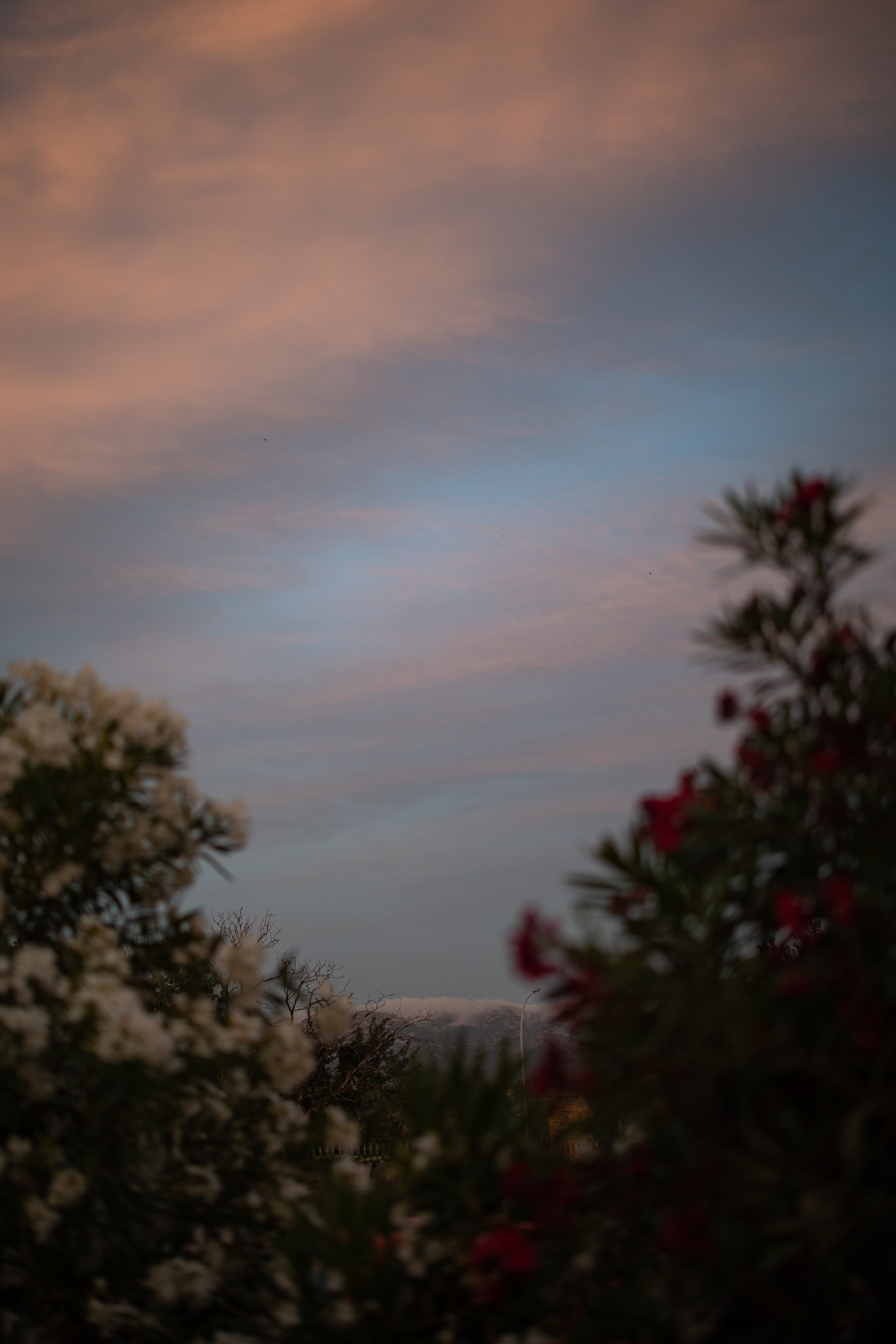 Wedding | Nerea & Christian. Wedding photographer Marius Foca