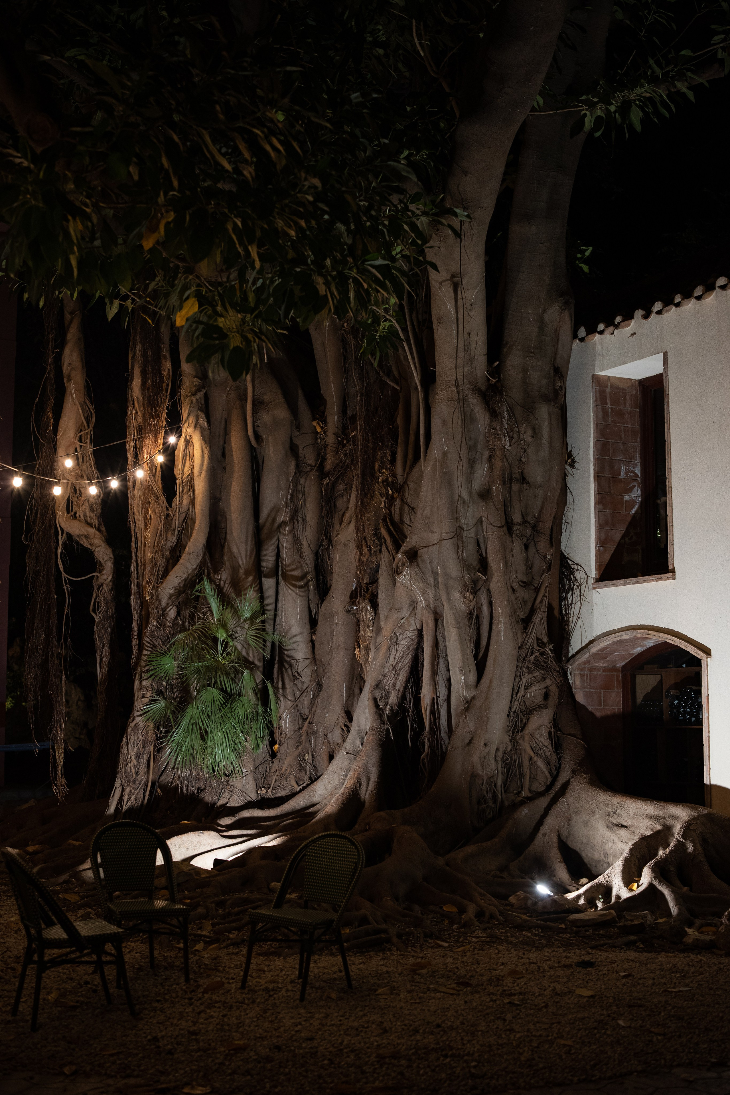 Wedding | Nerea & Christian. Wedding photographer Marius Foca