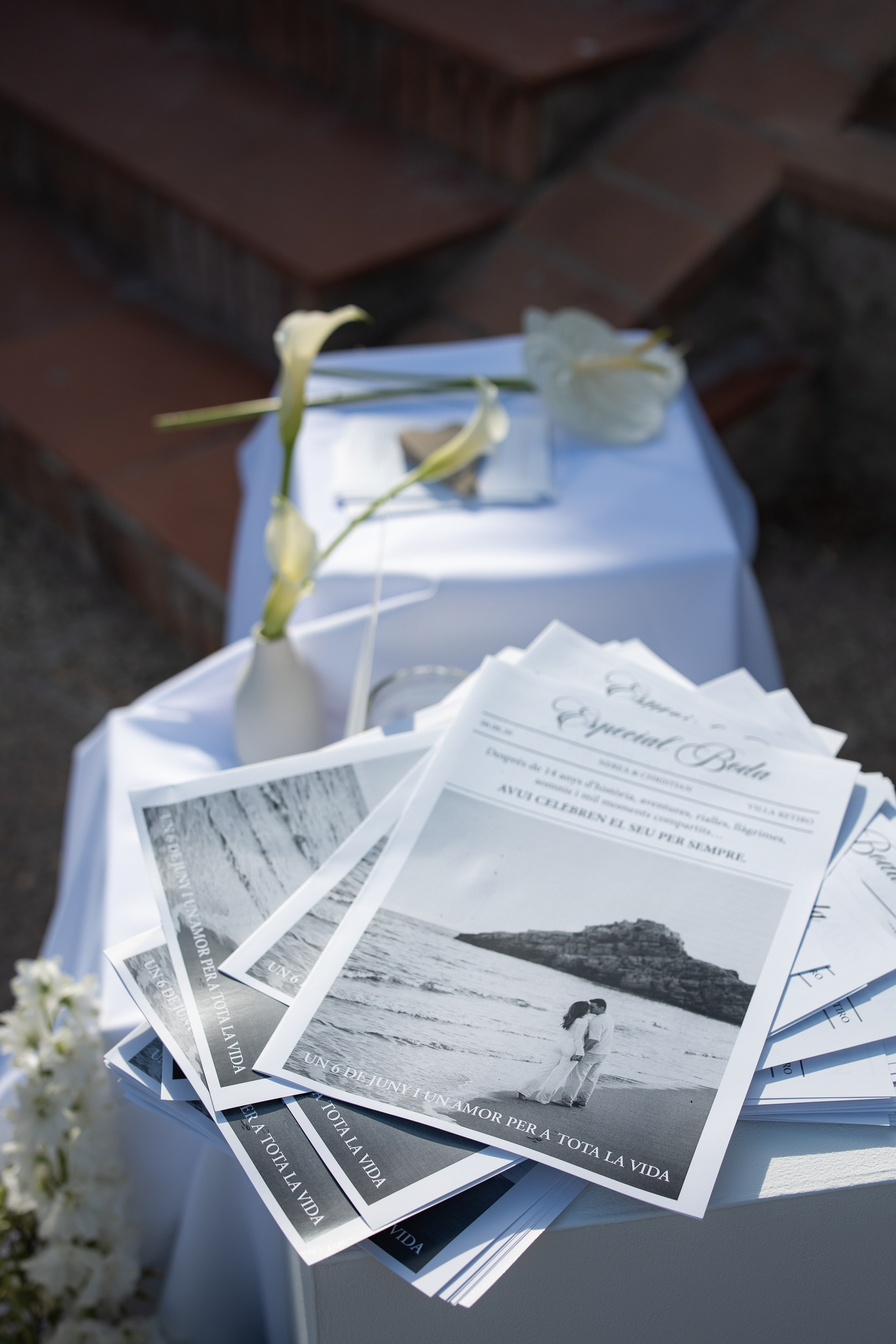 Wedding | Nerea & Christian. Wedding photographer Marius Foca