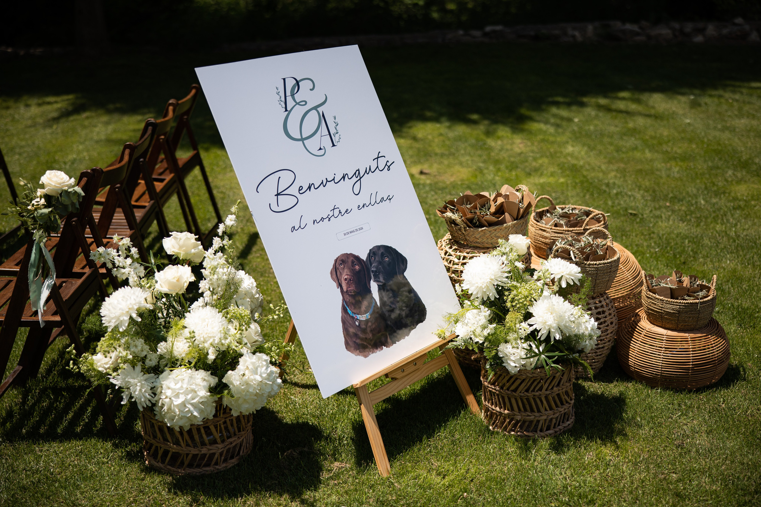 Wedding | Paula & Alex. Wedding photographer Marius Foca