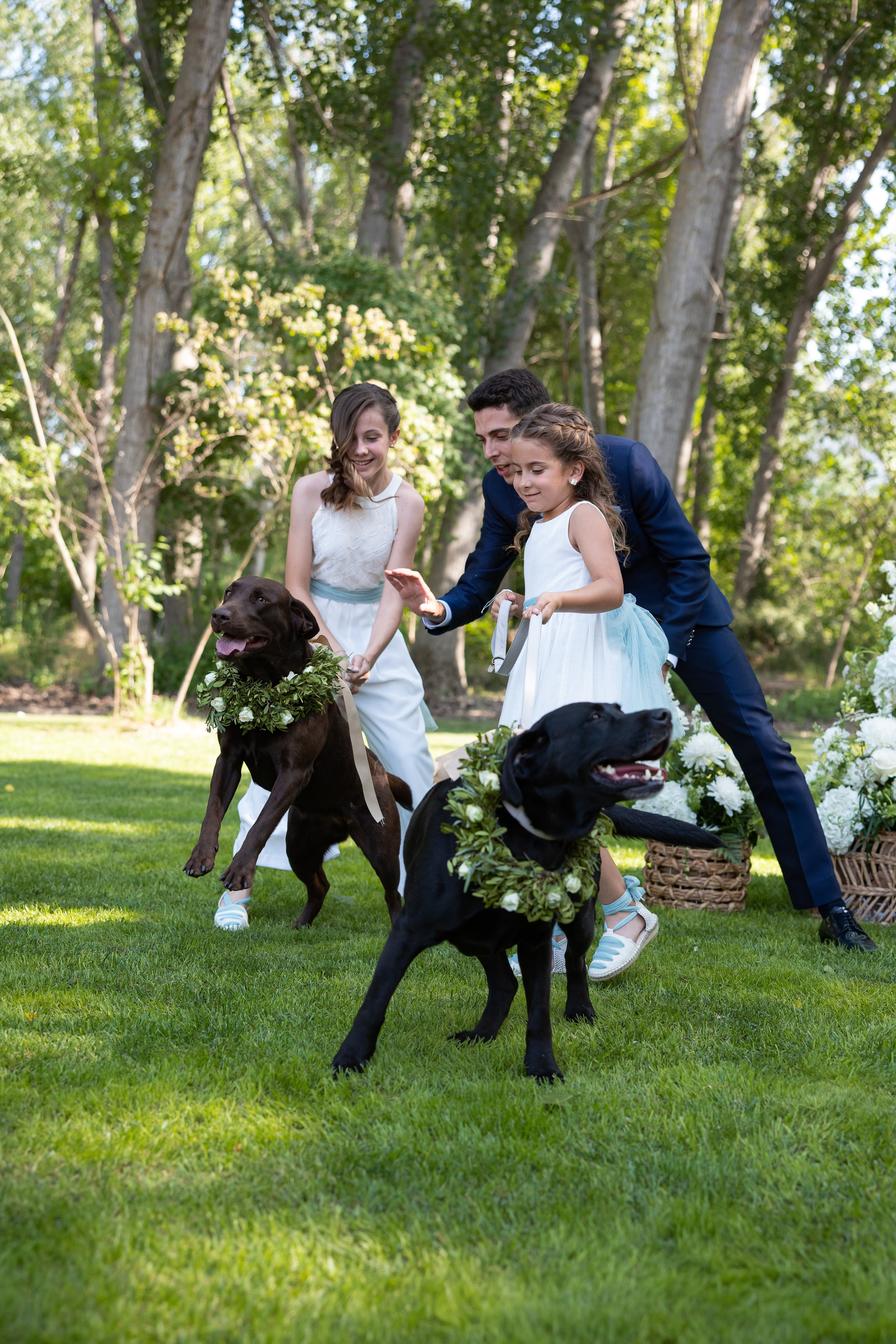 Wedding | Paula & Alex. Wedding photographer Marius Foca