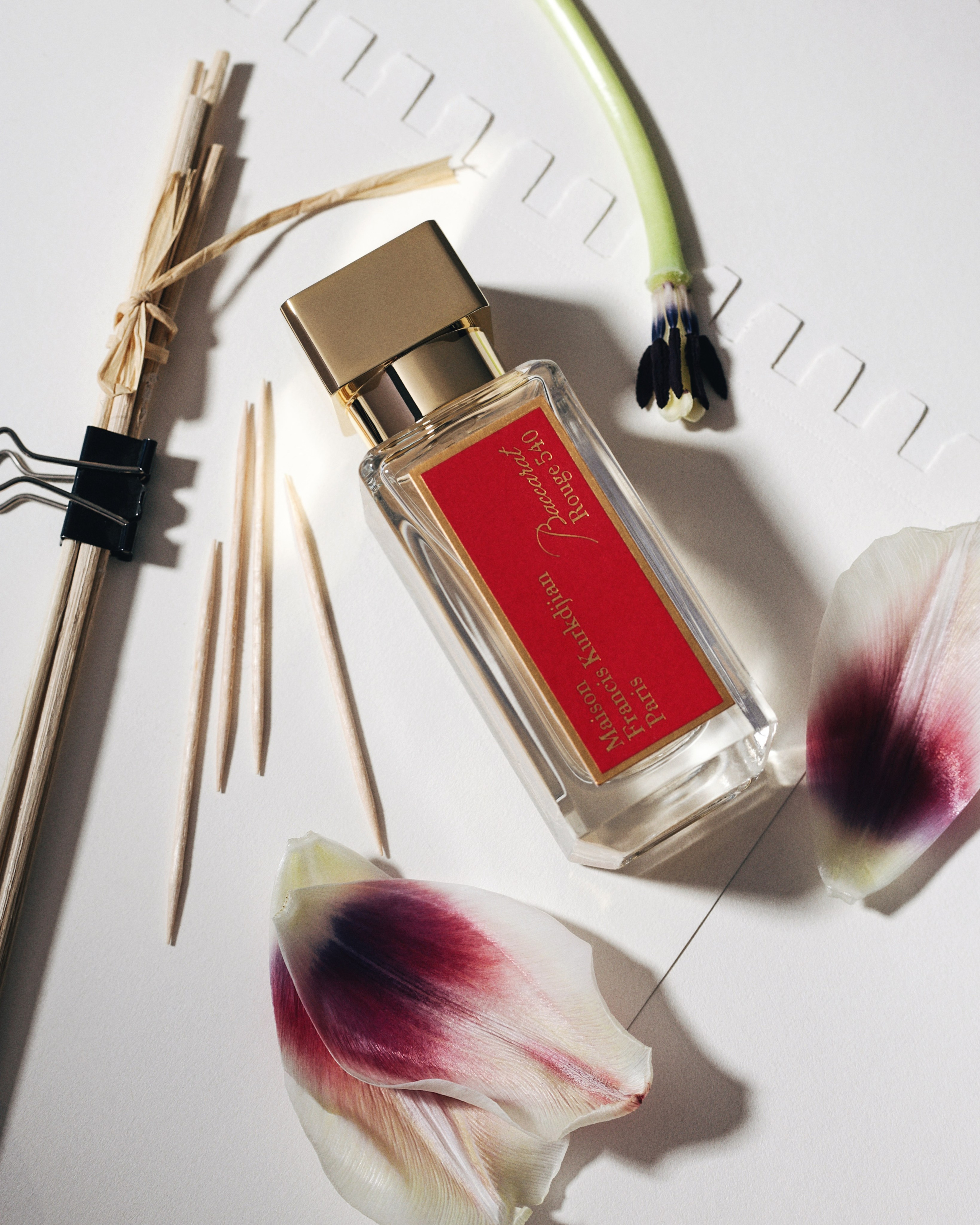 Luxury French perfume Baccarat Rouge 540 by Maison Francis Kurkdjian captured in elegant minimalist product photography, with soft lighting and dried floral elements for a refined aesthetic