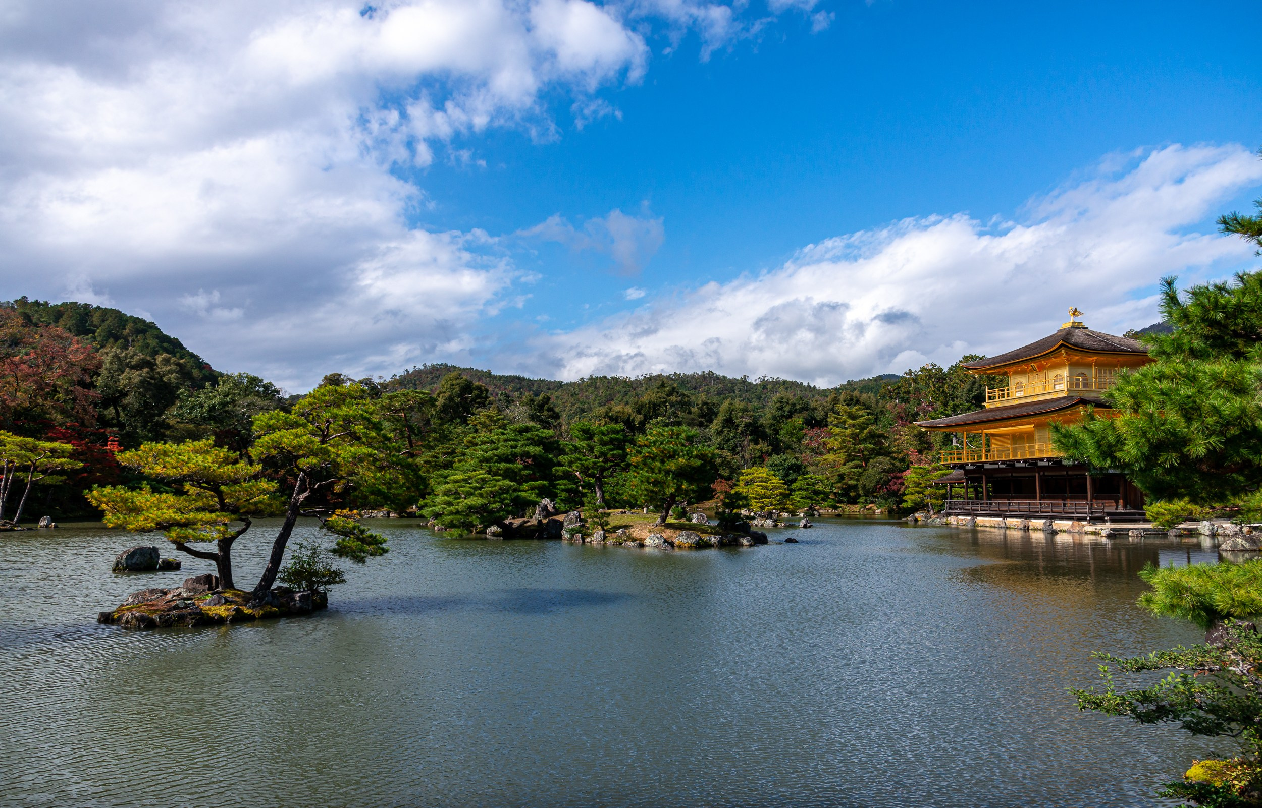 Japan. Marius Ciocan