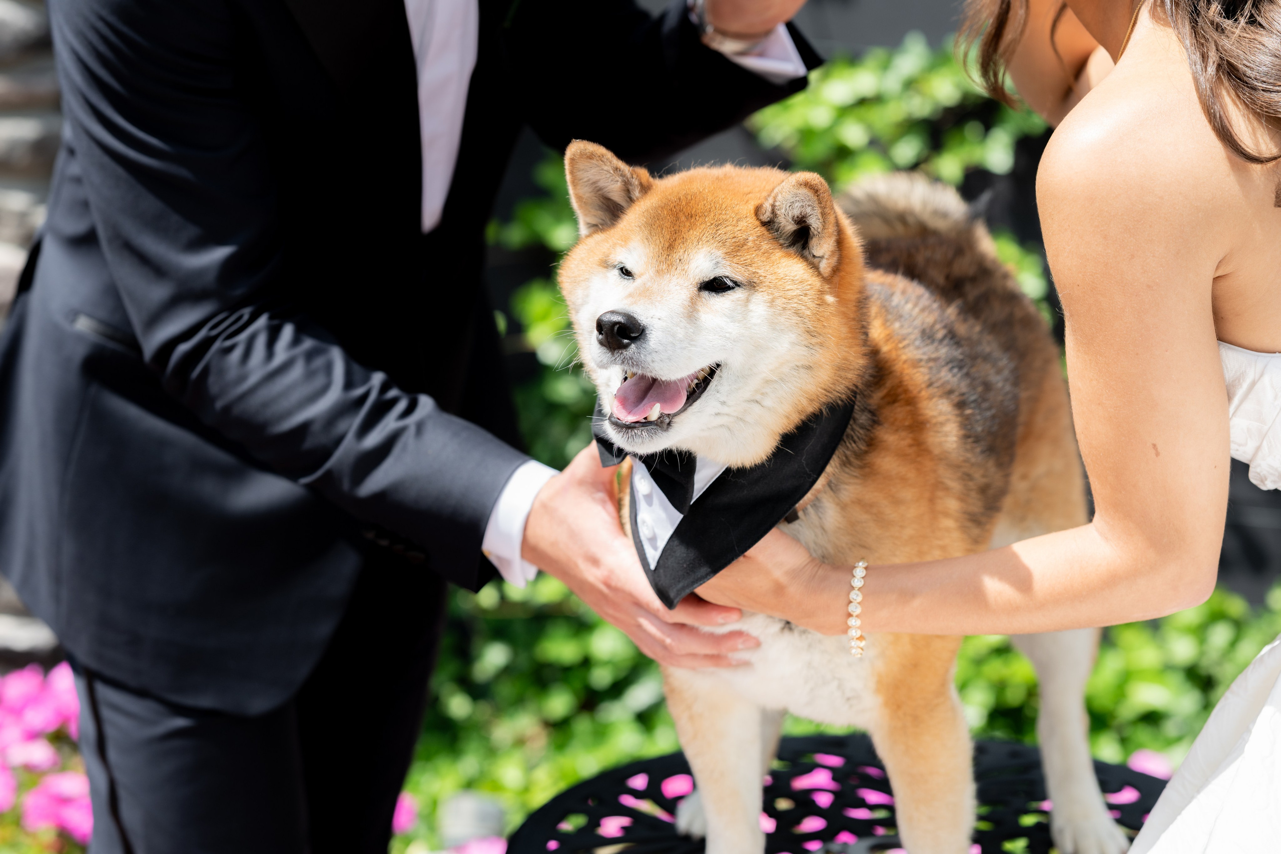 Kristian & Joseph, Shore Oaks Dr. Farmingdale, NJ. Wedding Photo & Video