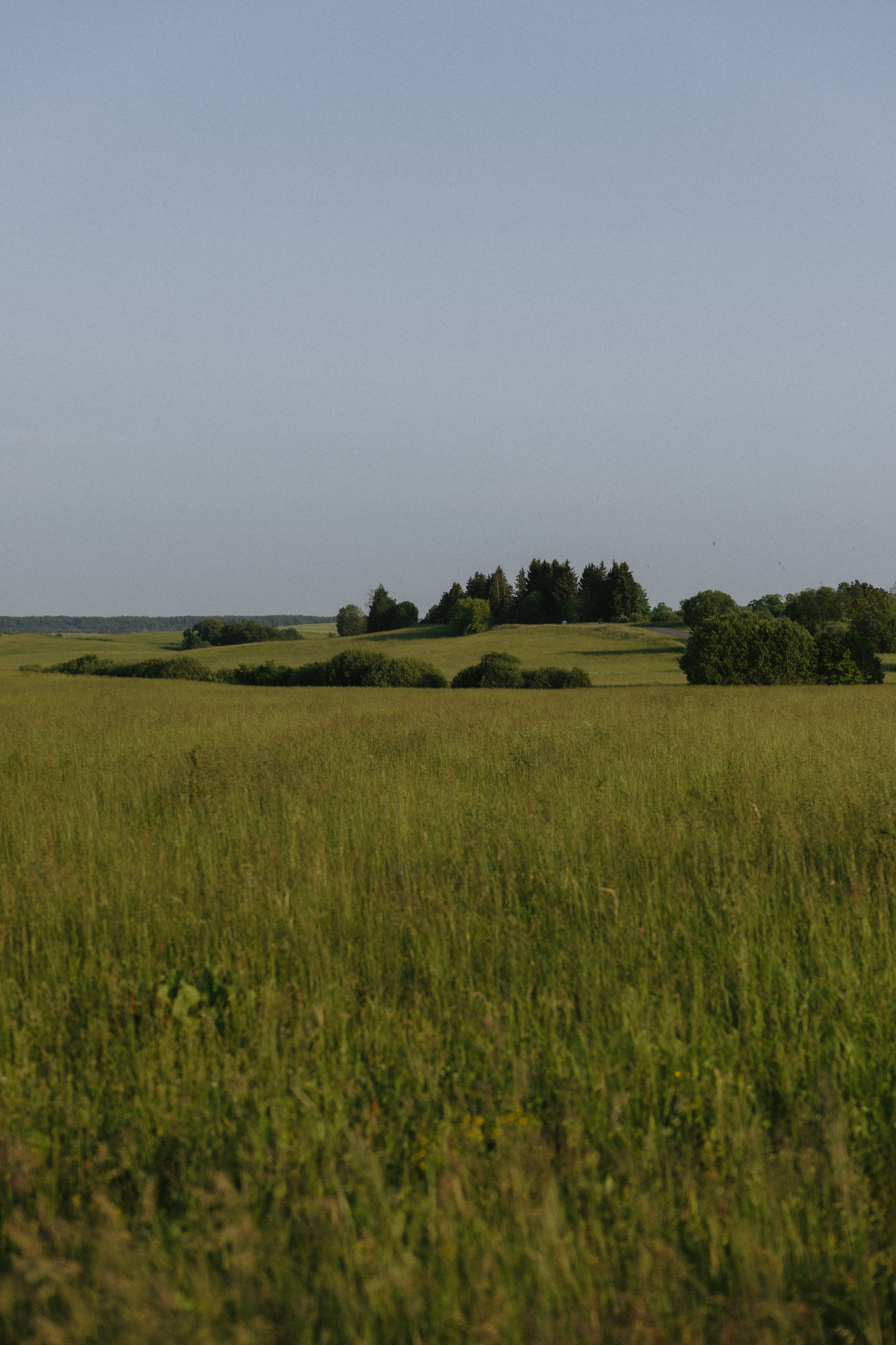 Lera & Maksim | laukimo fotosesija pievoje saulei besileidžiant. Vestuvių ir šeimų fotografė Lena Bondarenko / belove photo