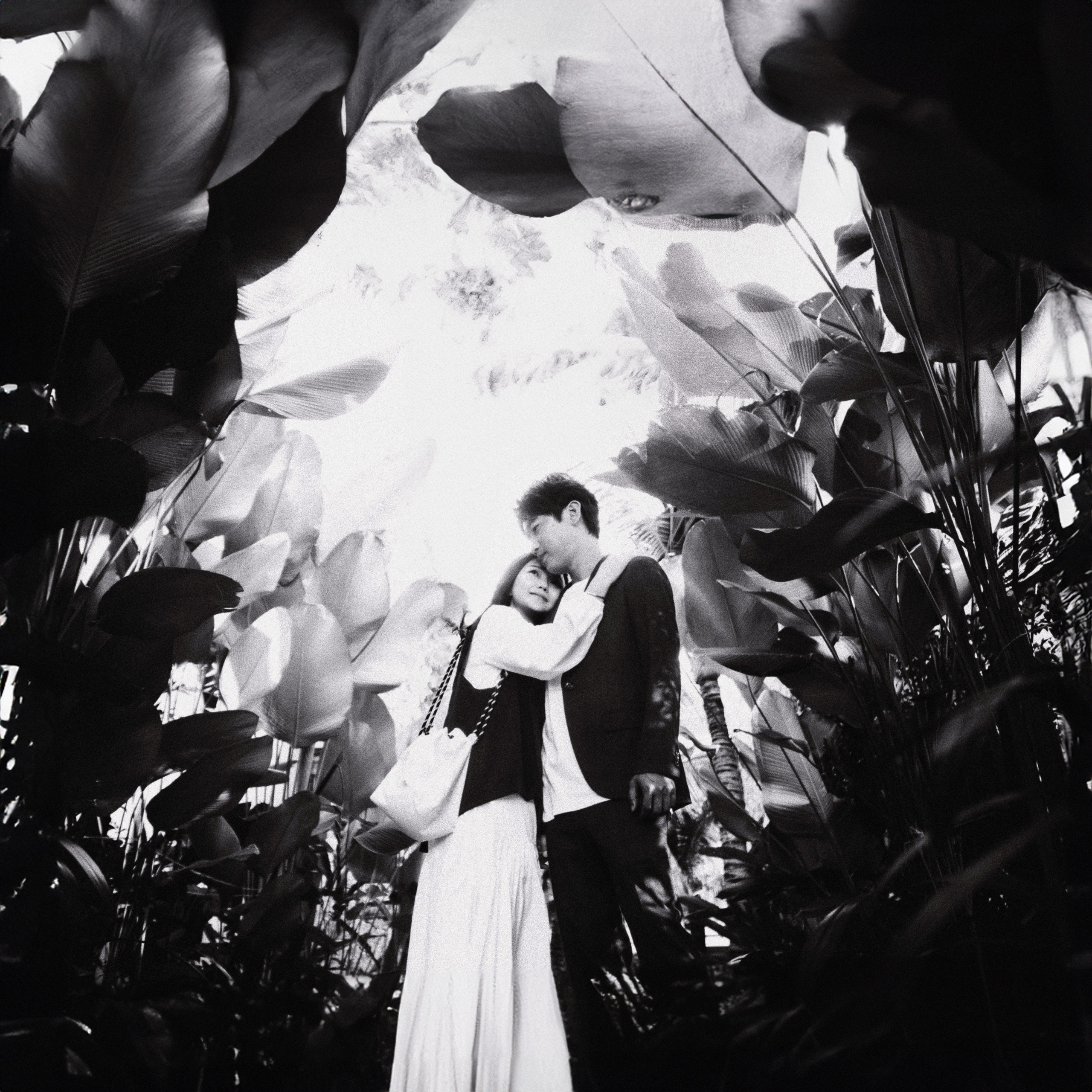 Wedding. Photographer in Nha Trang — Dani Prokopenko