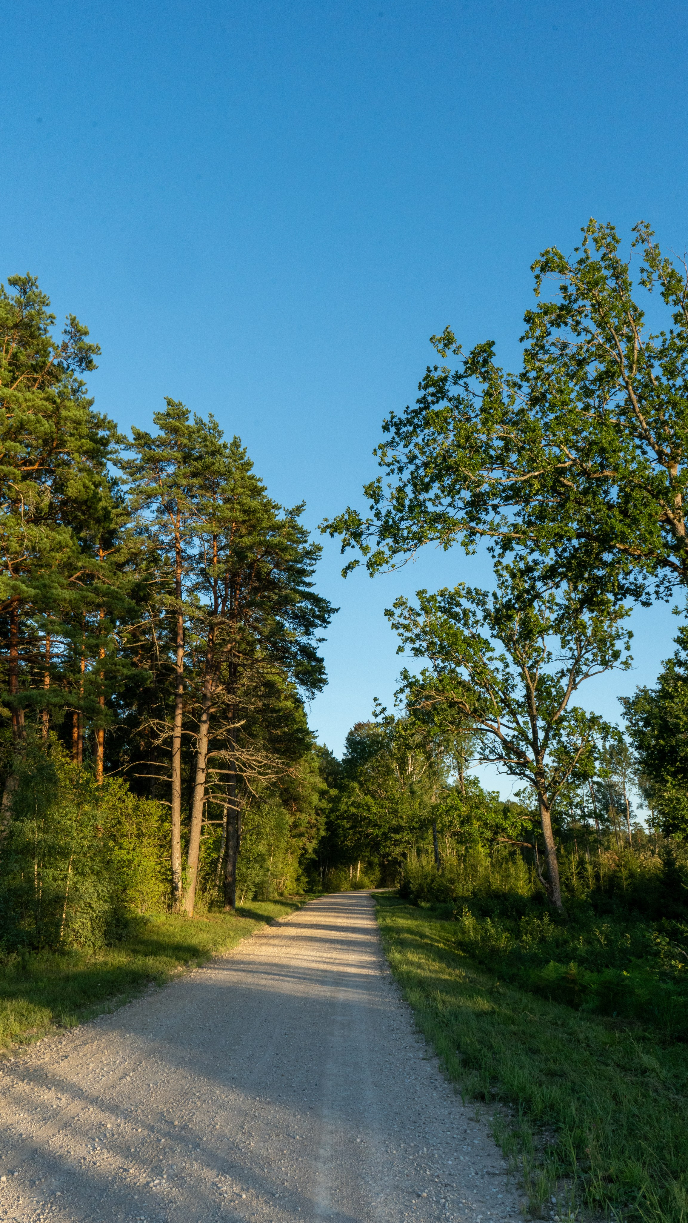 Whispers of Estonia. Photography | Videography | Marketing