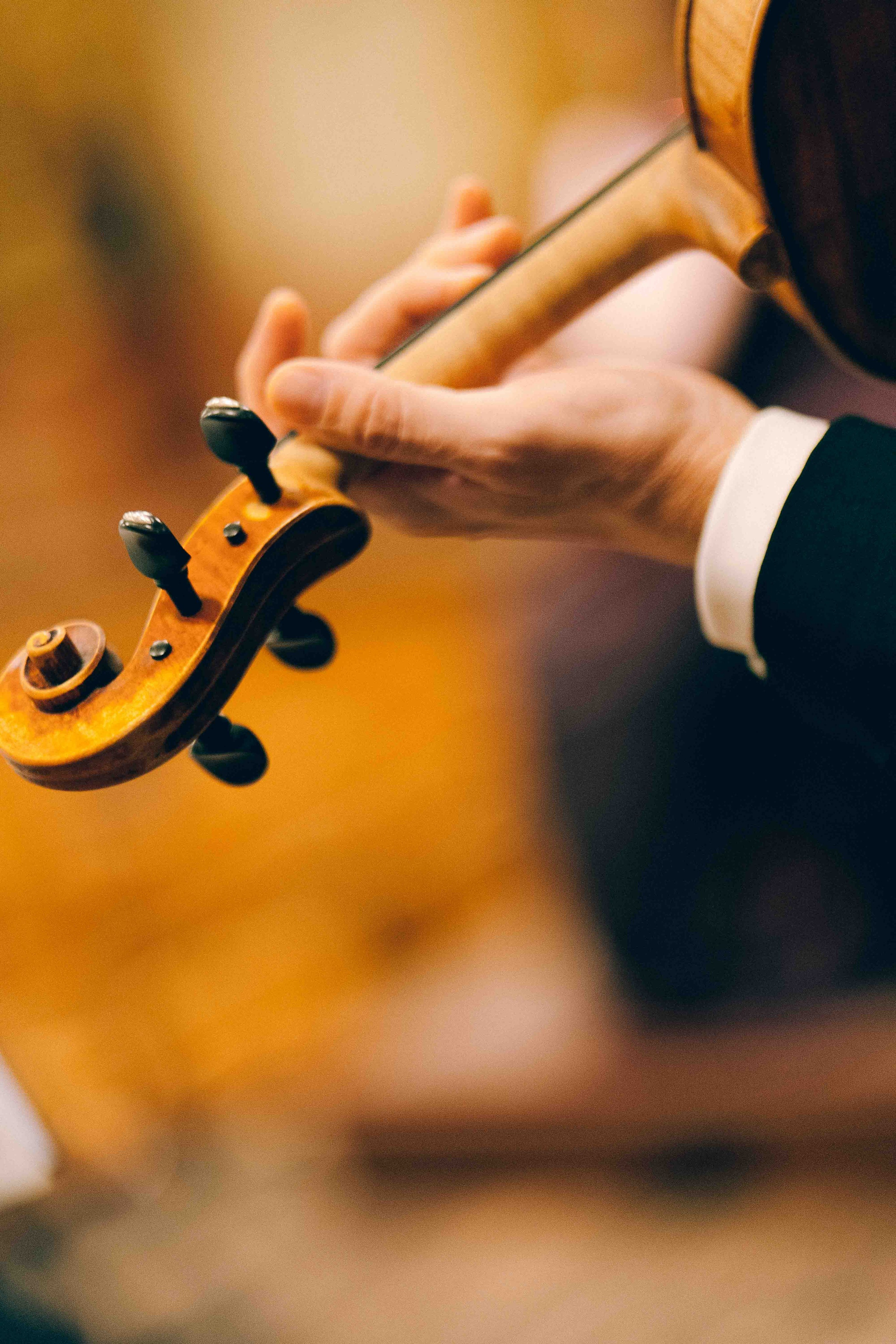 MUSIKVEREIN (VIENNA). Wedding&Event photographer Ismail Rzayev in Baku