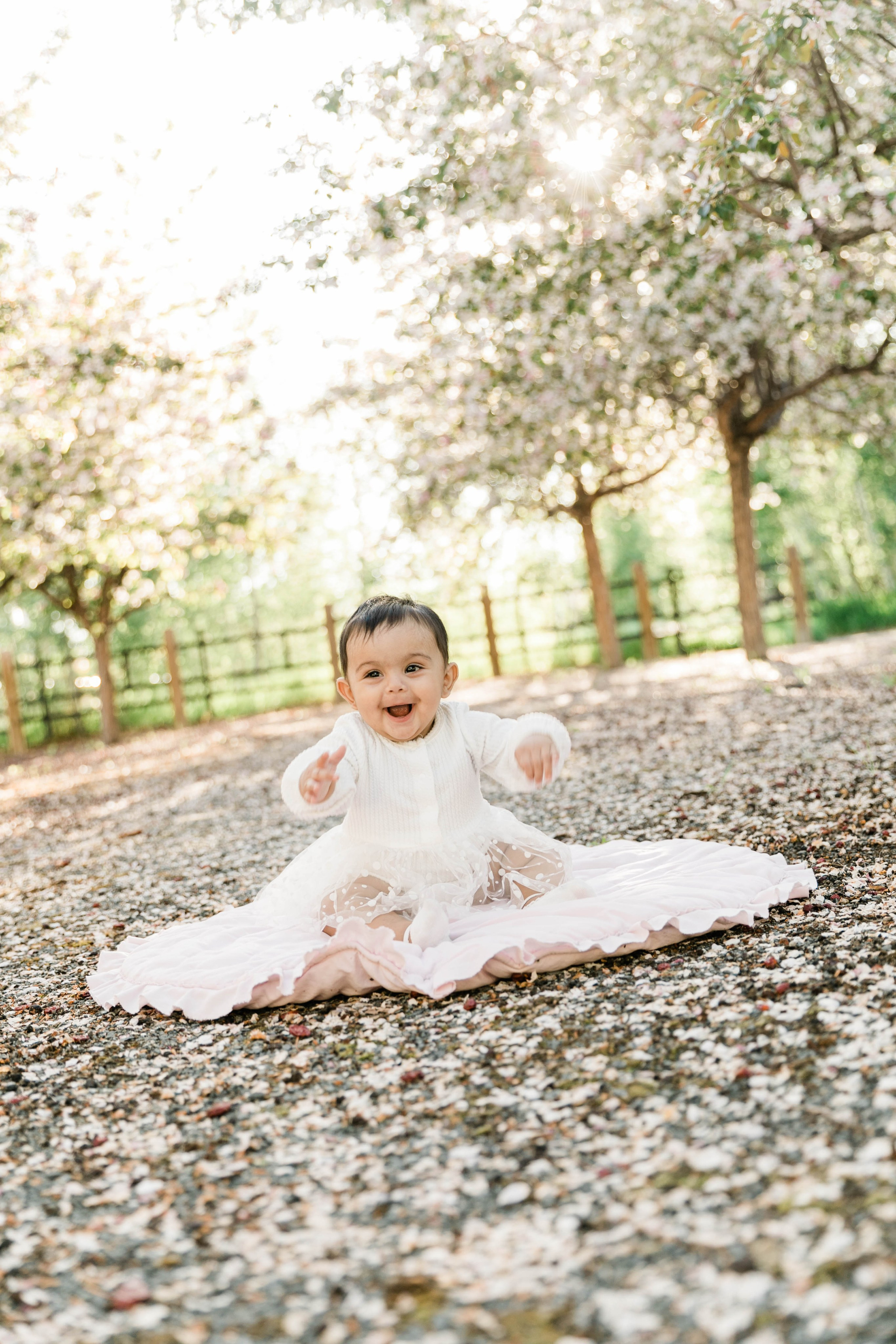 Cherry Blossom — Nabeel Family. Ching Li Photography