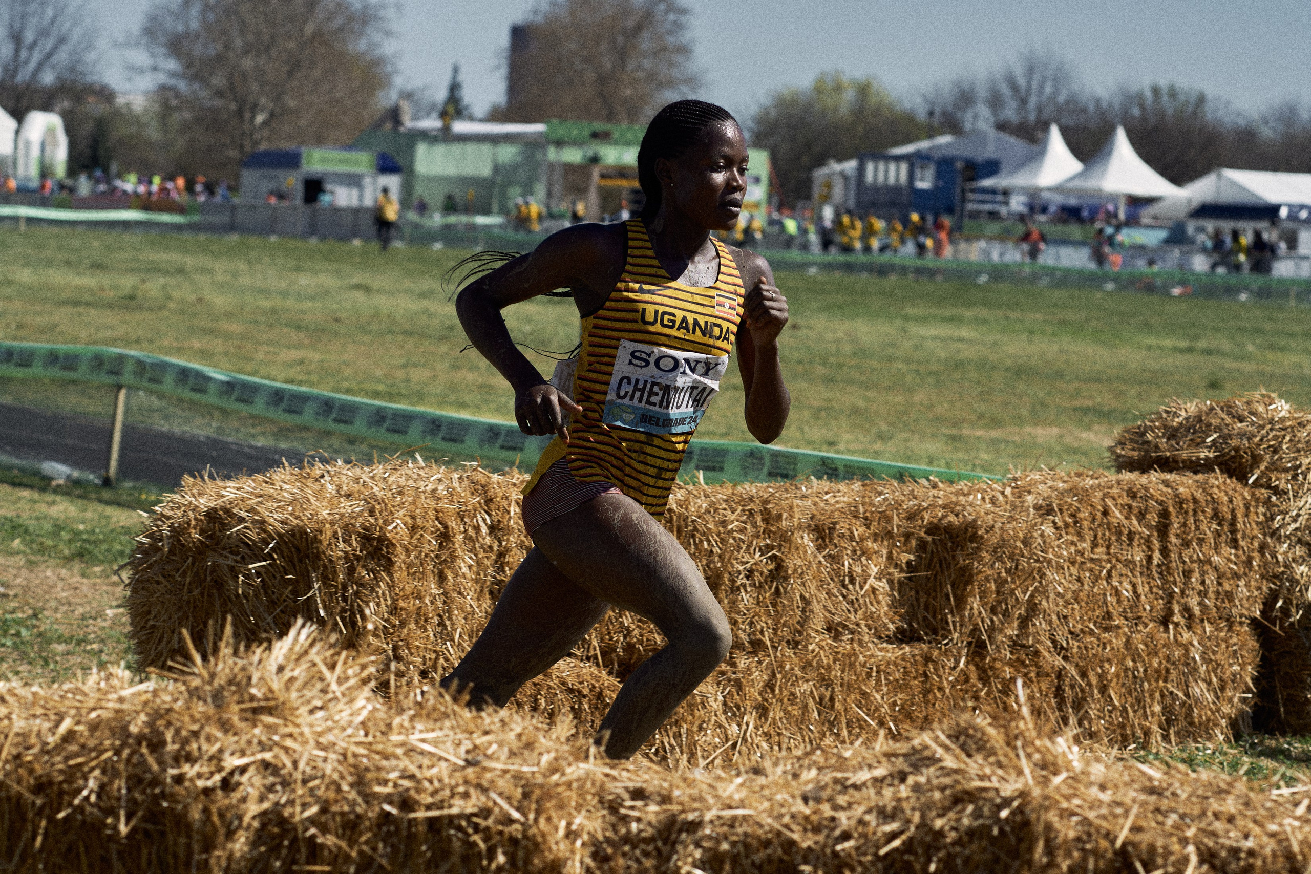 Cross Country Championship 2024 #running. Photographer Evgeniya Dovgalyuk