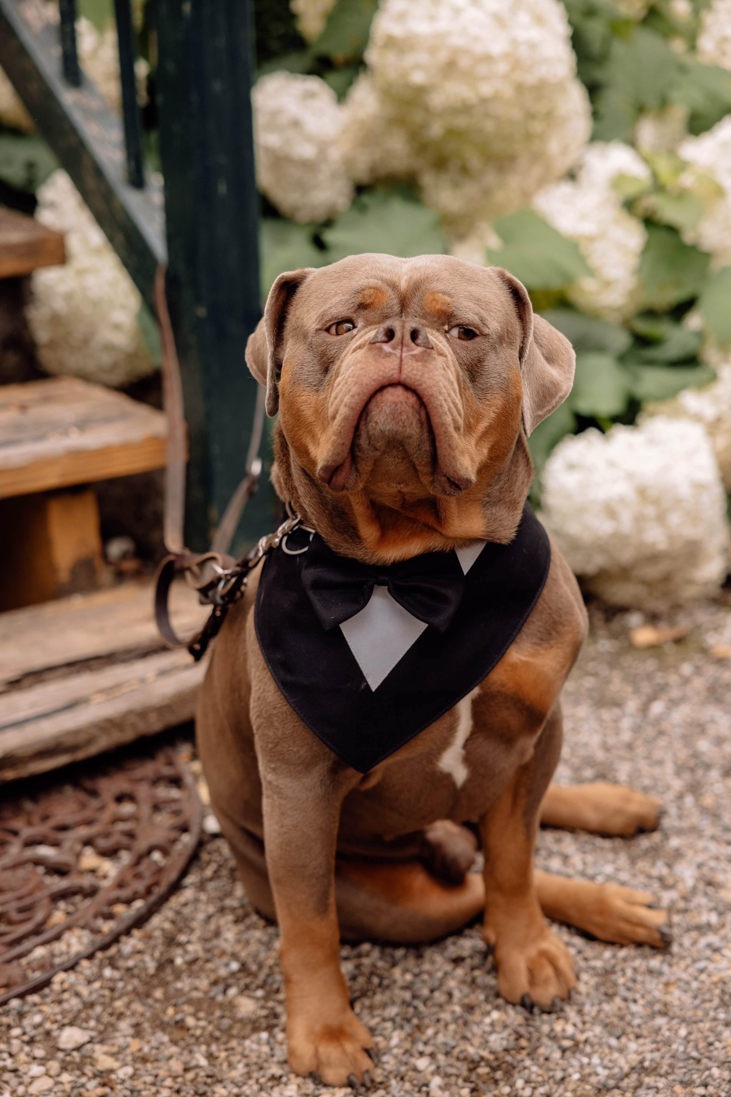 Hochzeit in der Birkenheide (Geisenfeld). Hochzeitsfotograf München Taufe Familienfotograf Tanja Mauke