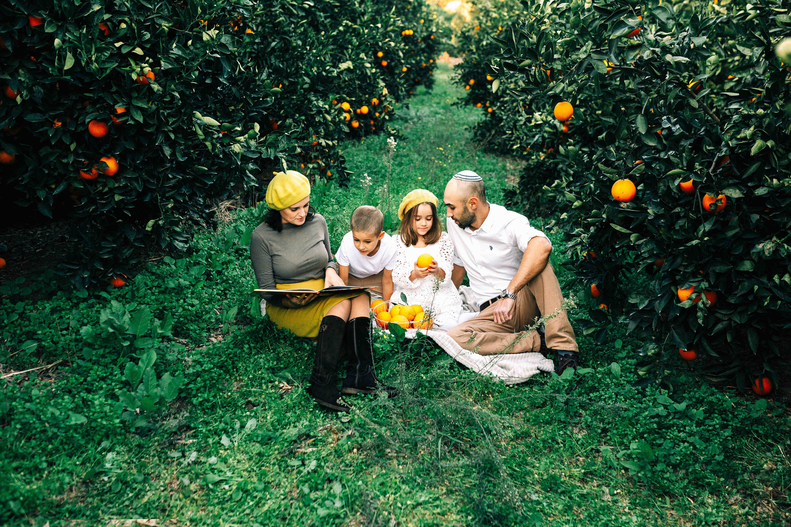 MANDARNINE GARDEN. Https://shi-photo.com/