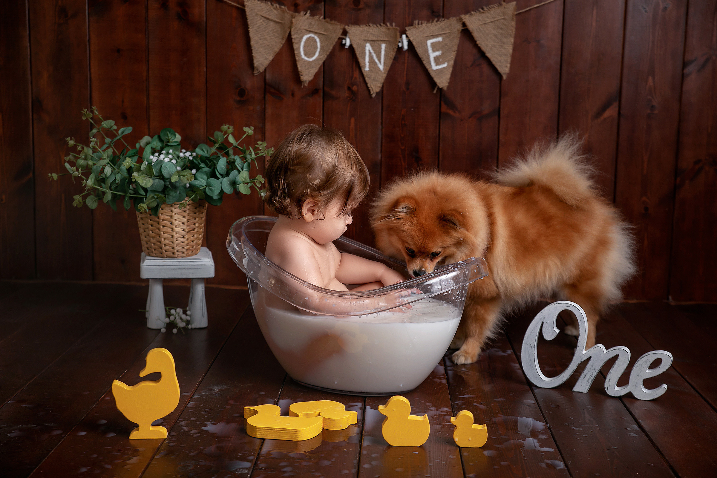 גיל שנה. נטליה רוזמן צלמת הריון ניובורן ילדים ובוק בת מצווה