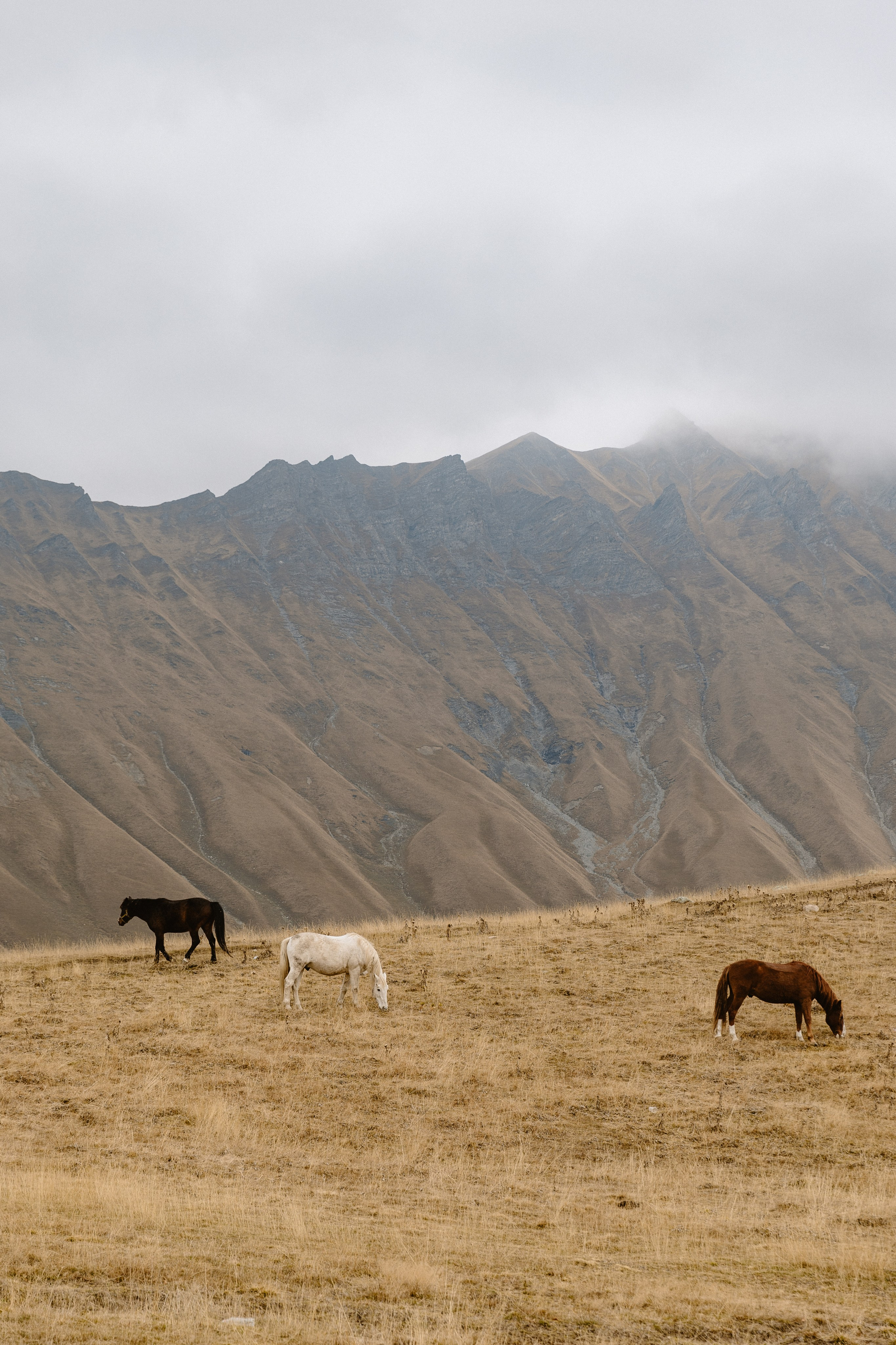Angelina & Ilya. Photographer Anna Nazarenko
