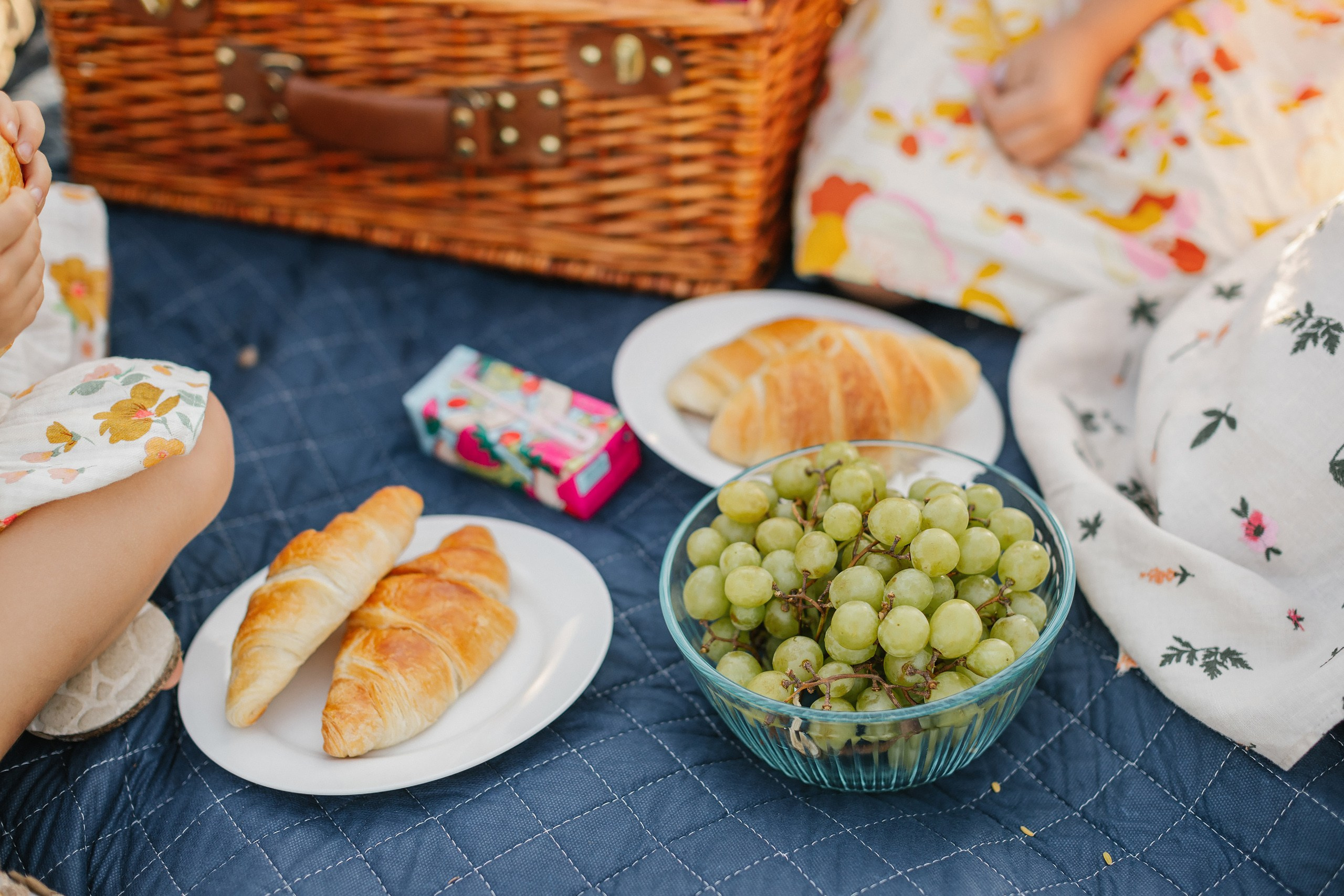 08.17.25 Family Photoshoot. Wedding family event photographer in Chicago Nick Yushevich
