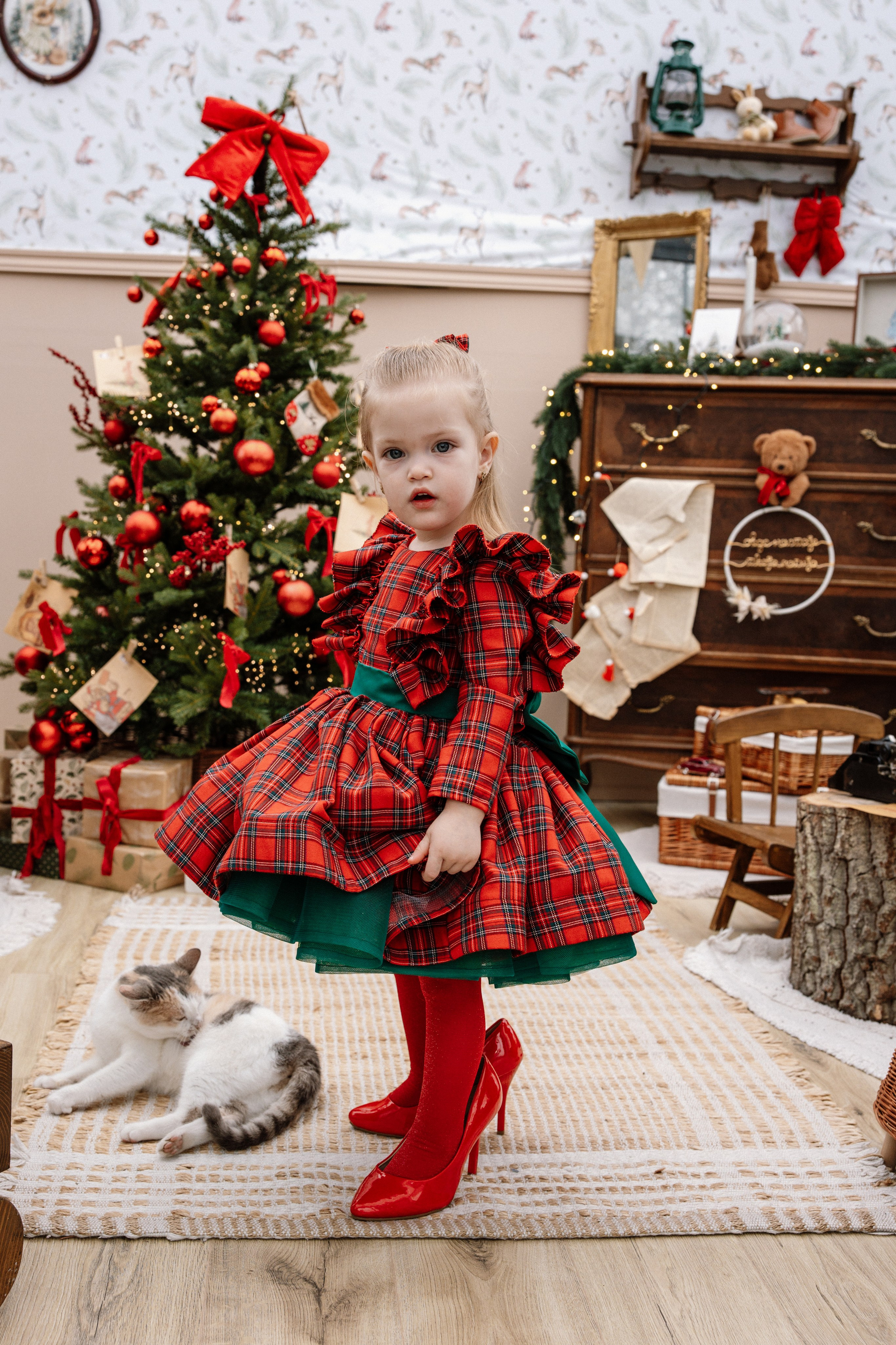 New Years Photography. Family and Wedding Photographer