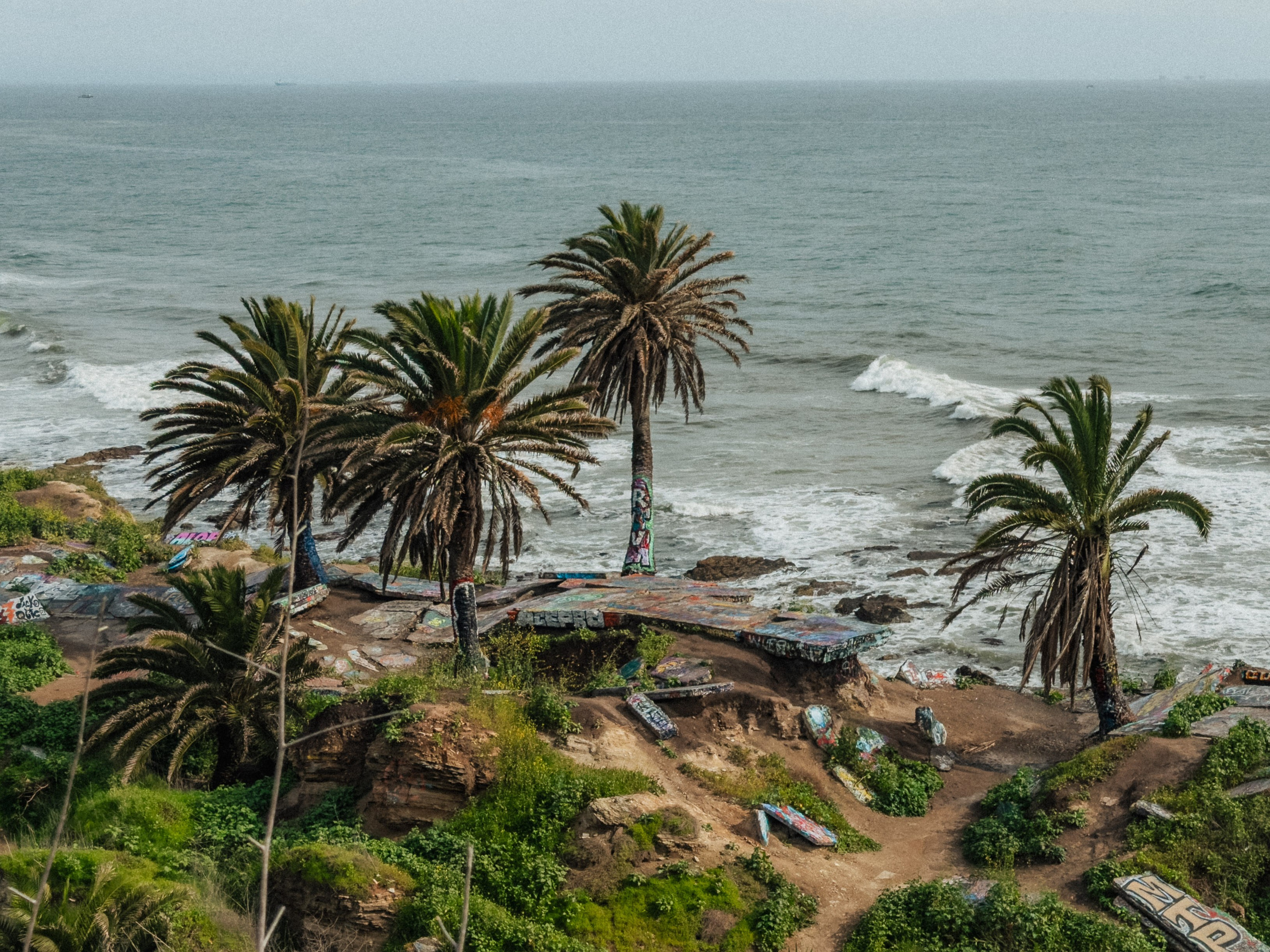 Los Angeles. Aleks.photo | Book a photoshoot