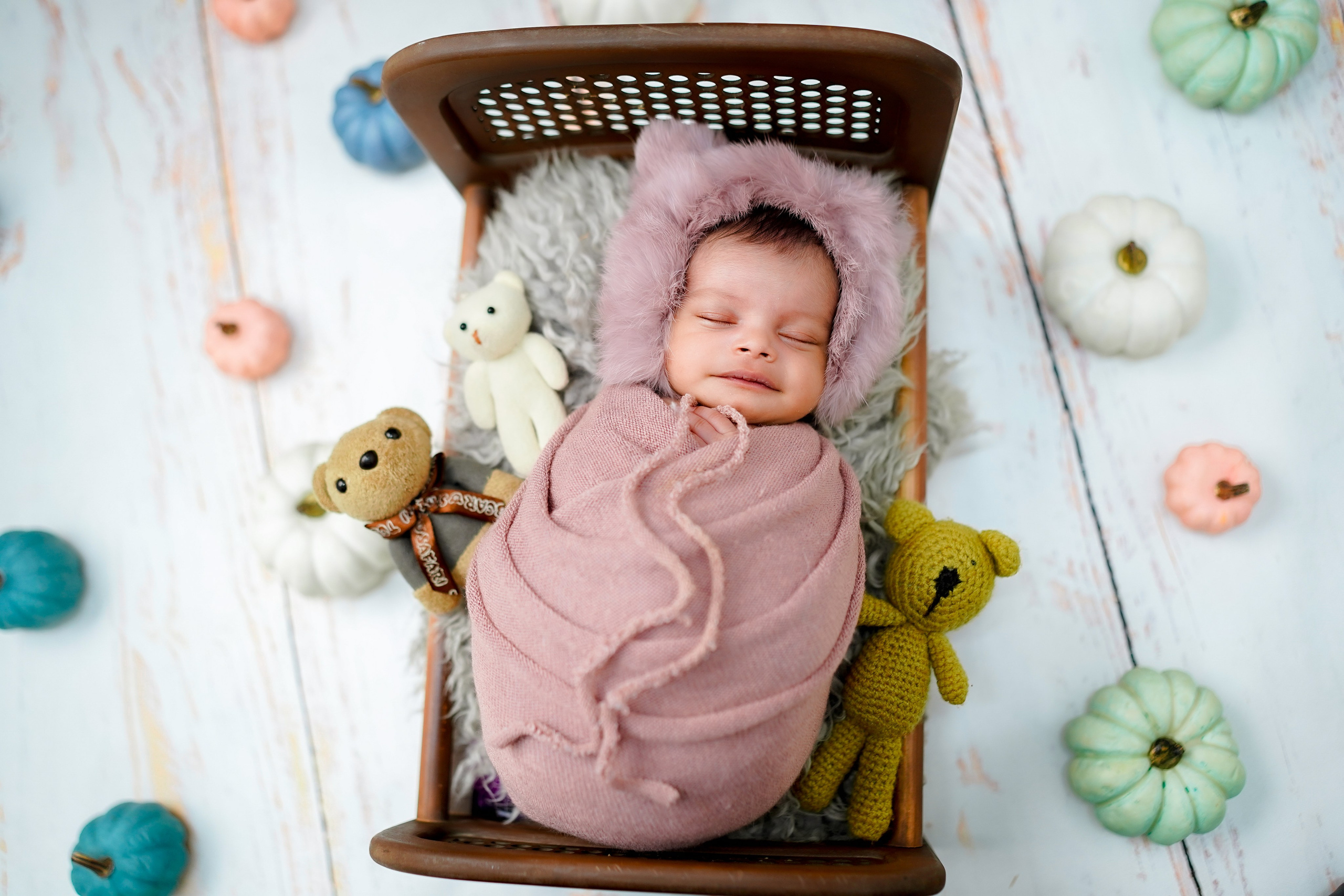 New born. TNF photo & filming