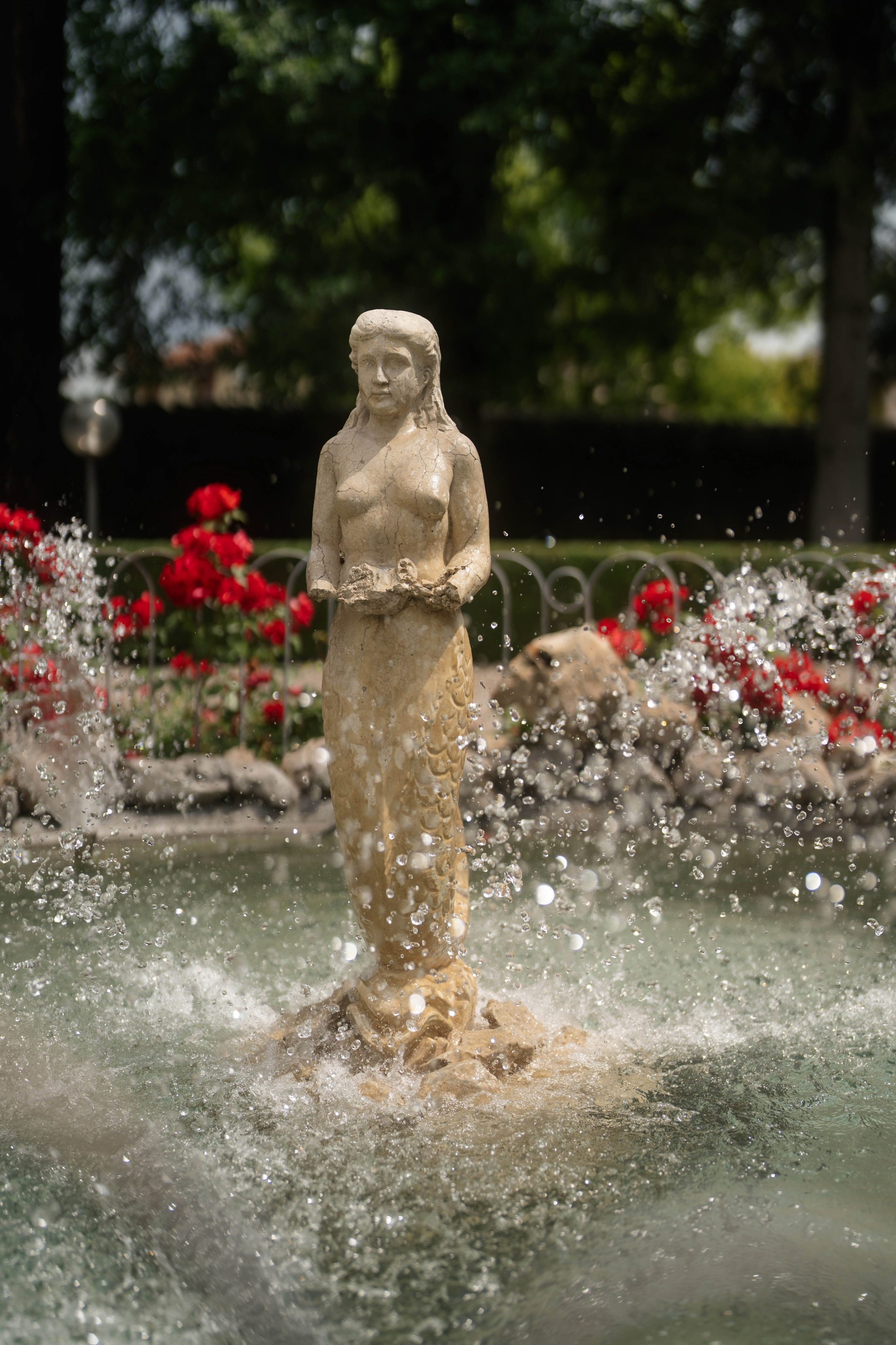 Cosmin & Georgiana. Studio Timis