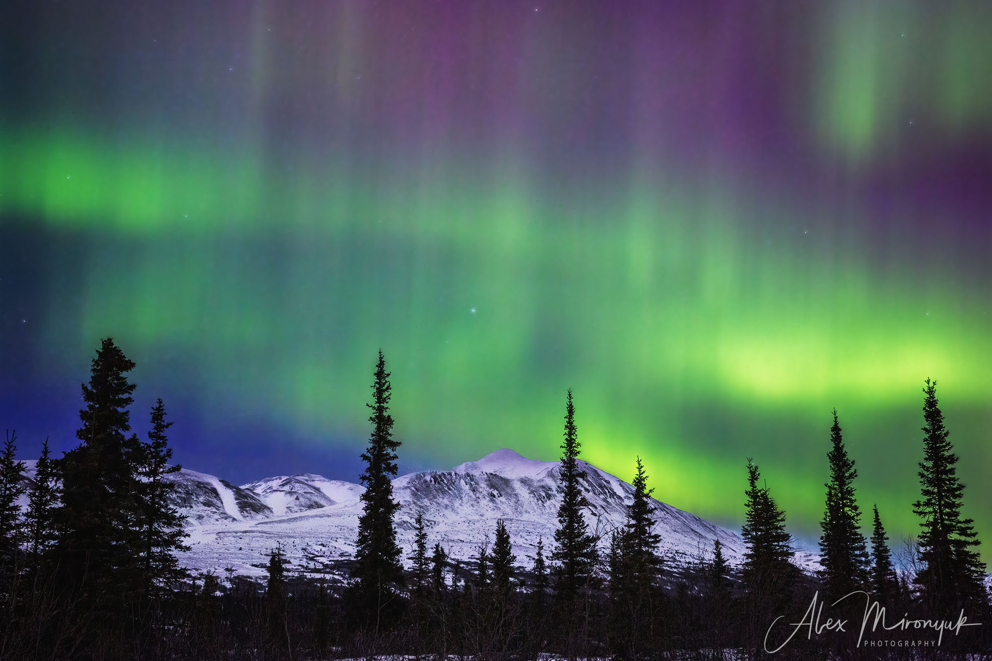Chasing the Aurora Borealis. Alex Mironyuk Photography