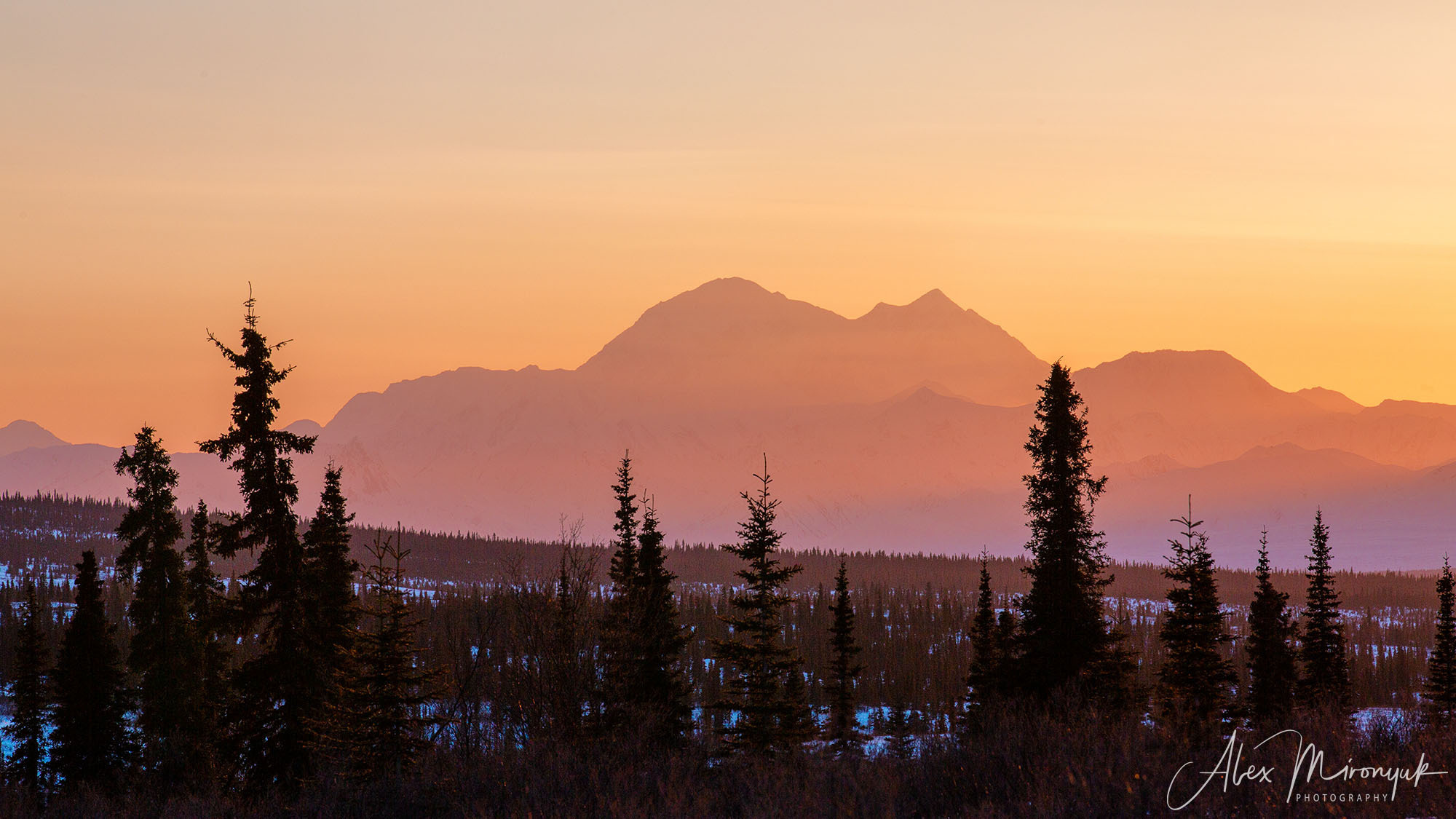 Chasing the Aurora Borealis. Alex Mironyuk Photography